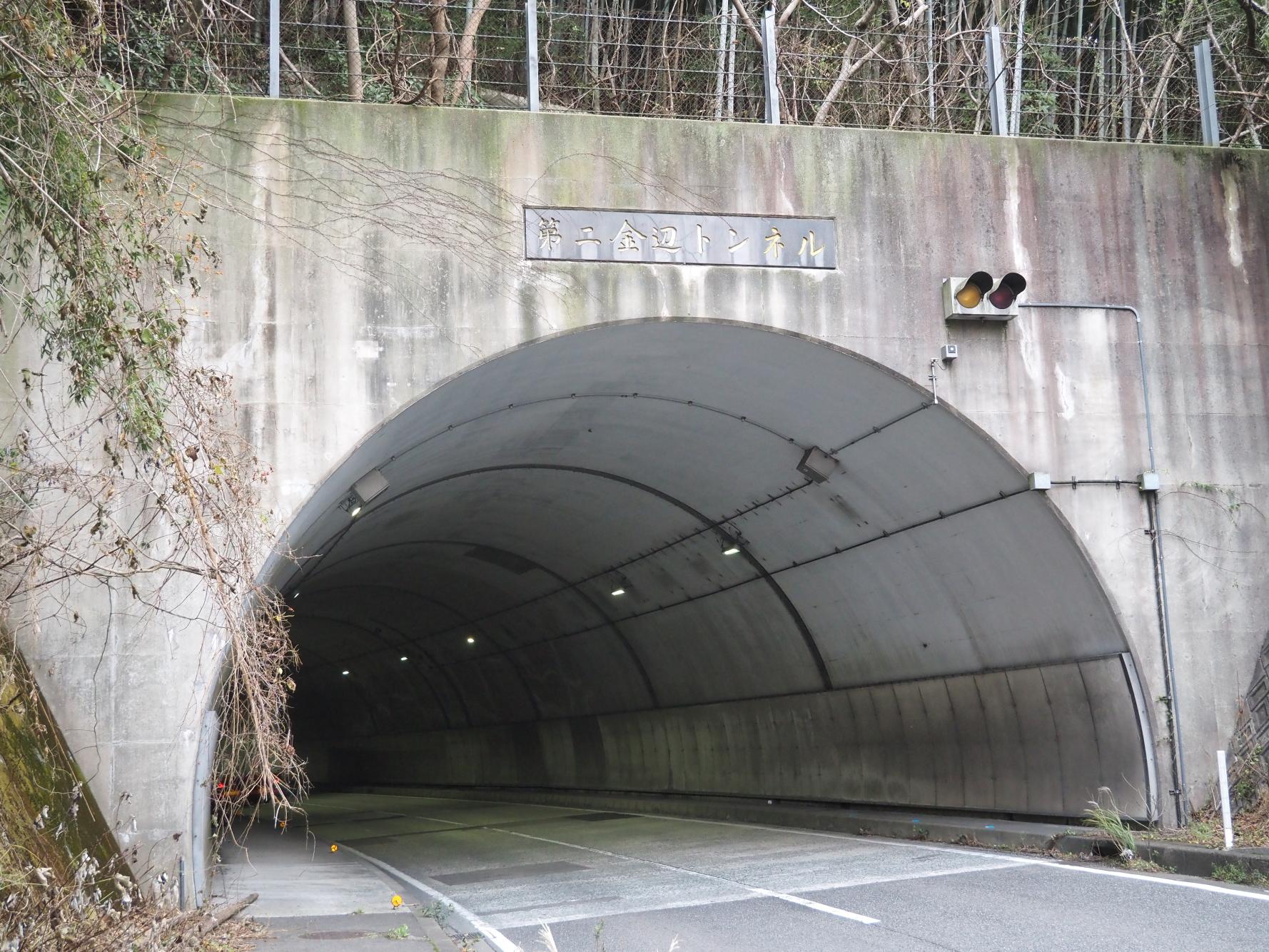 いよいよ始まるサイクリングロード-0