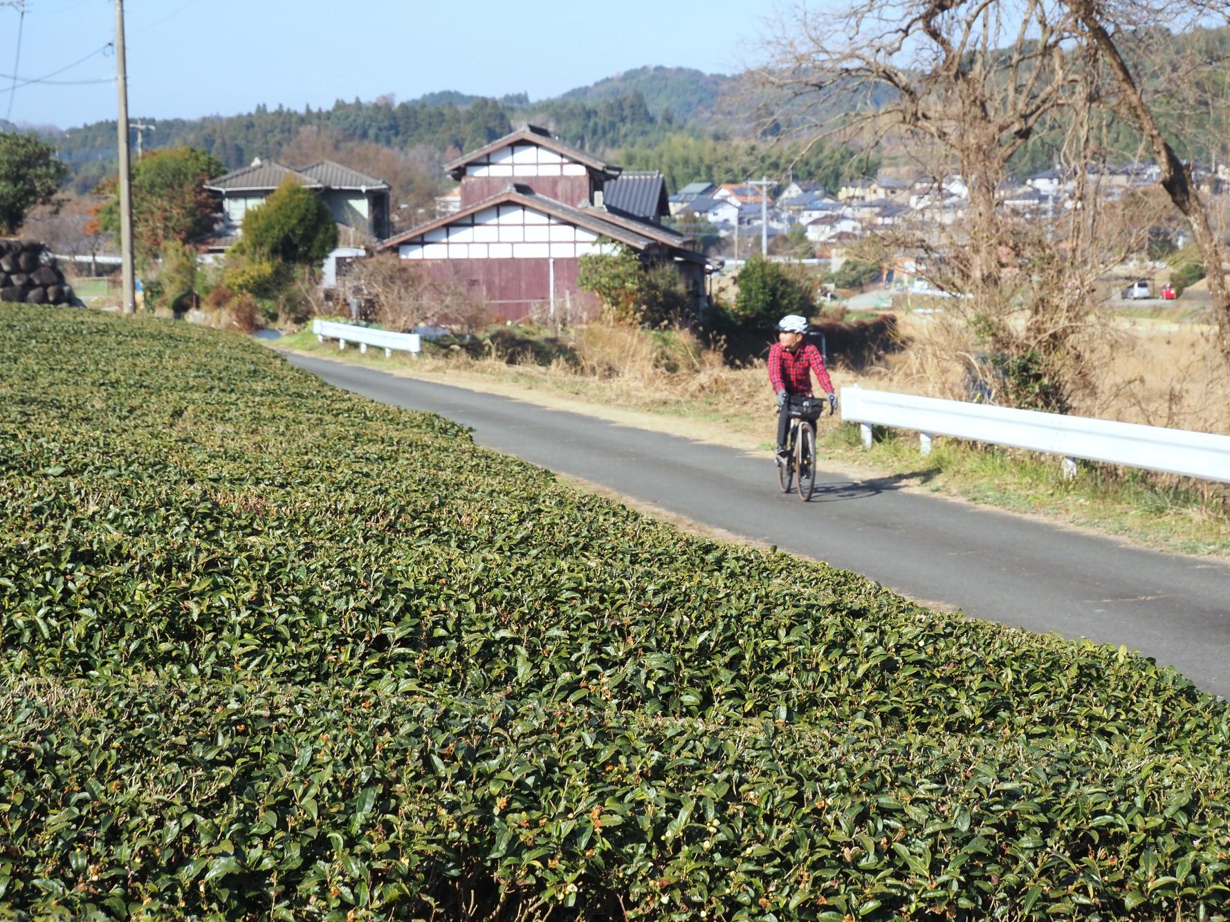 めくるめく廃線旅情と終着駅-1