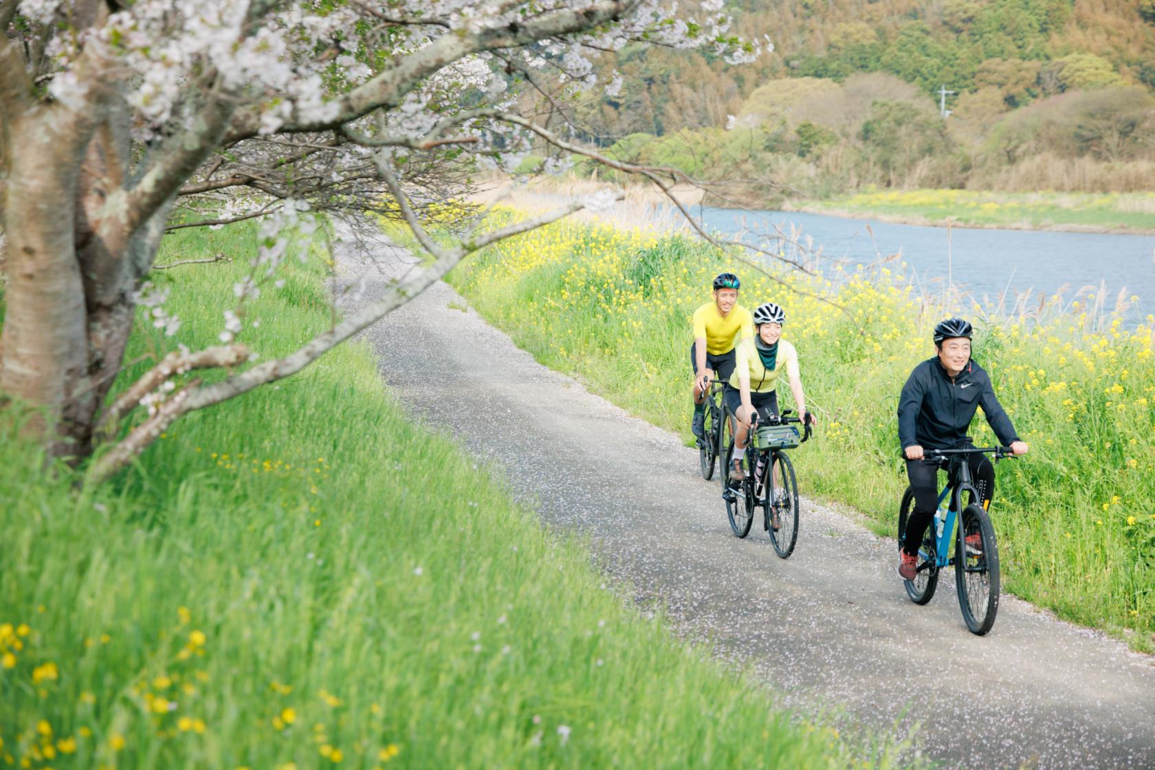 今川サイクリングロードで春爛漫の“さくライド”-3