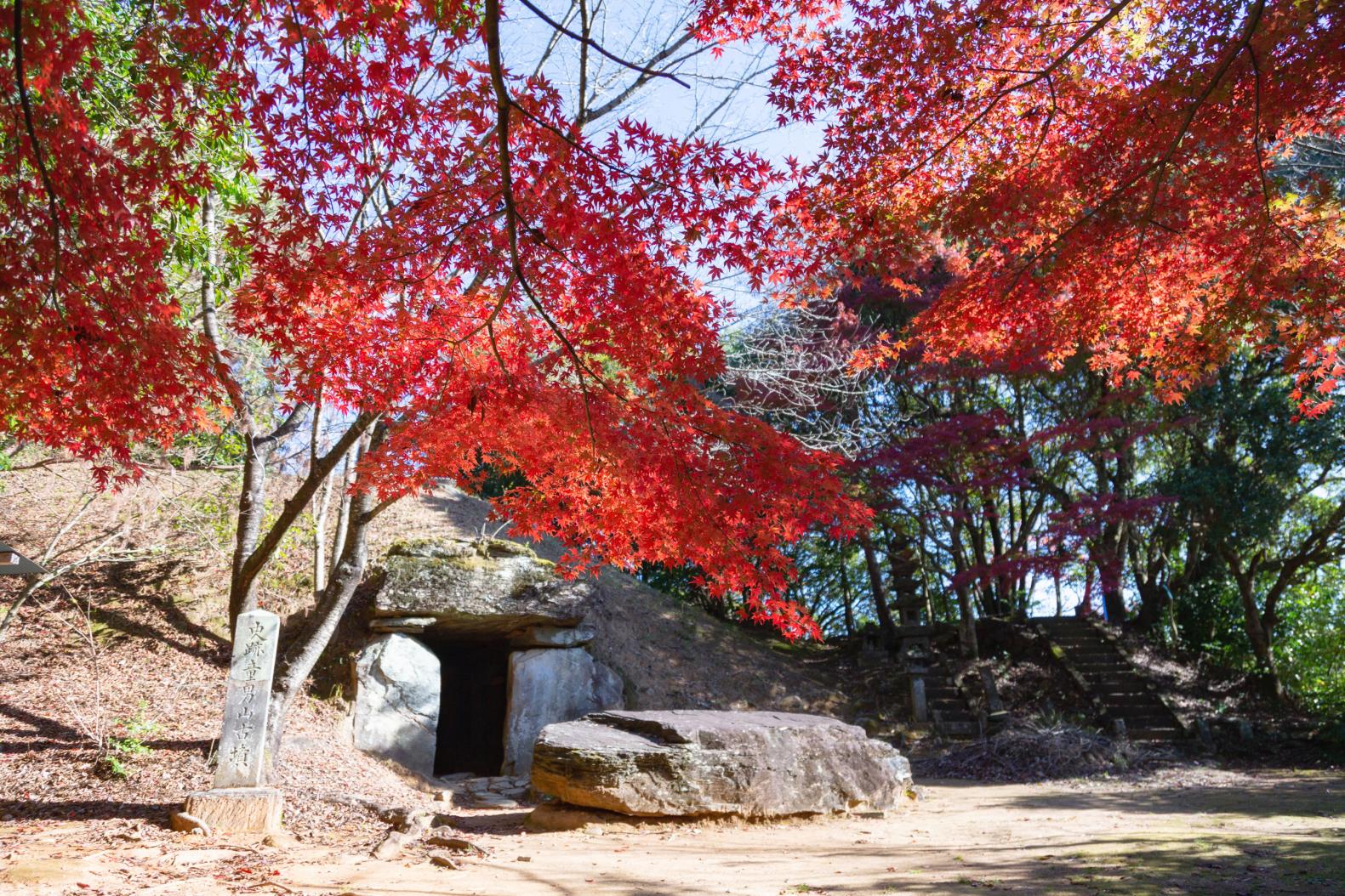 行程概略-1
