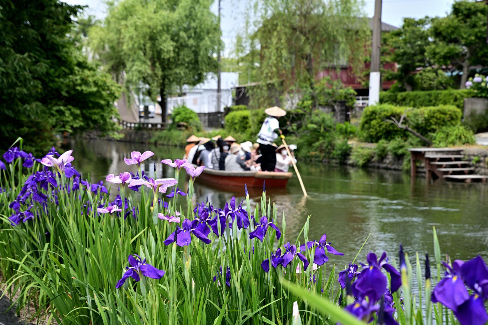 What is the best way to enjoy Yanagawa river cruising?-1