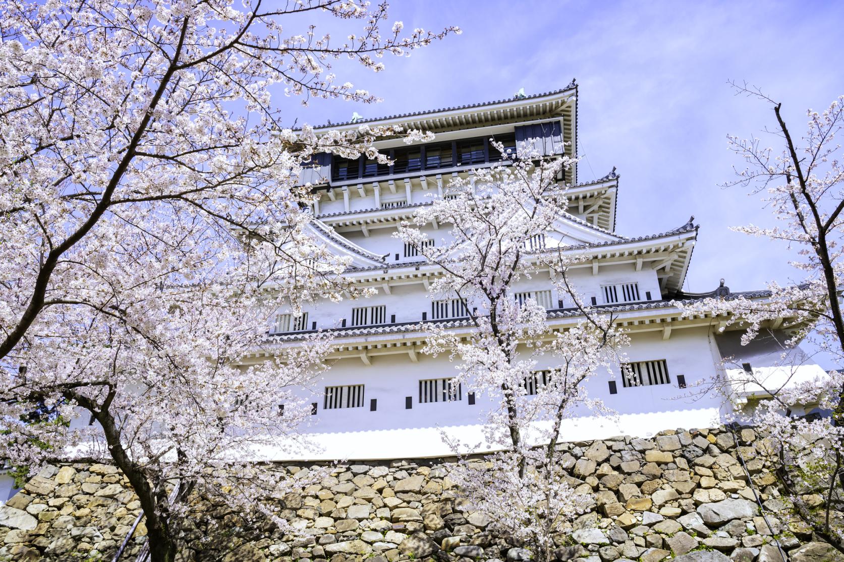 Places to See Cherry Blossoms in the Kitakyushu Area-1