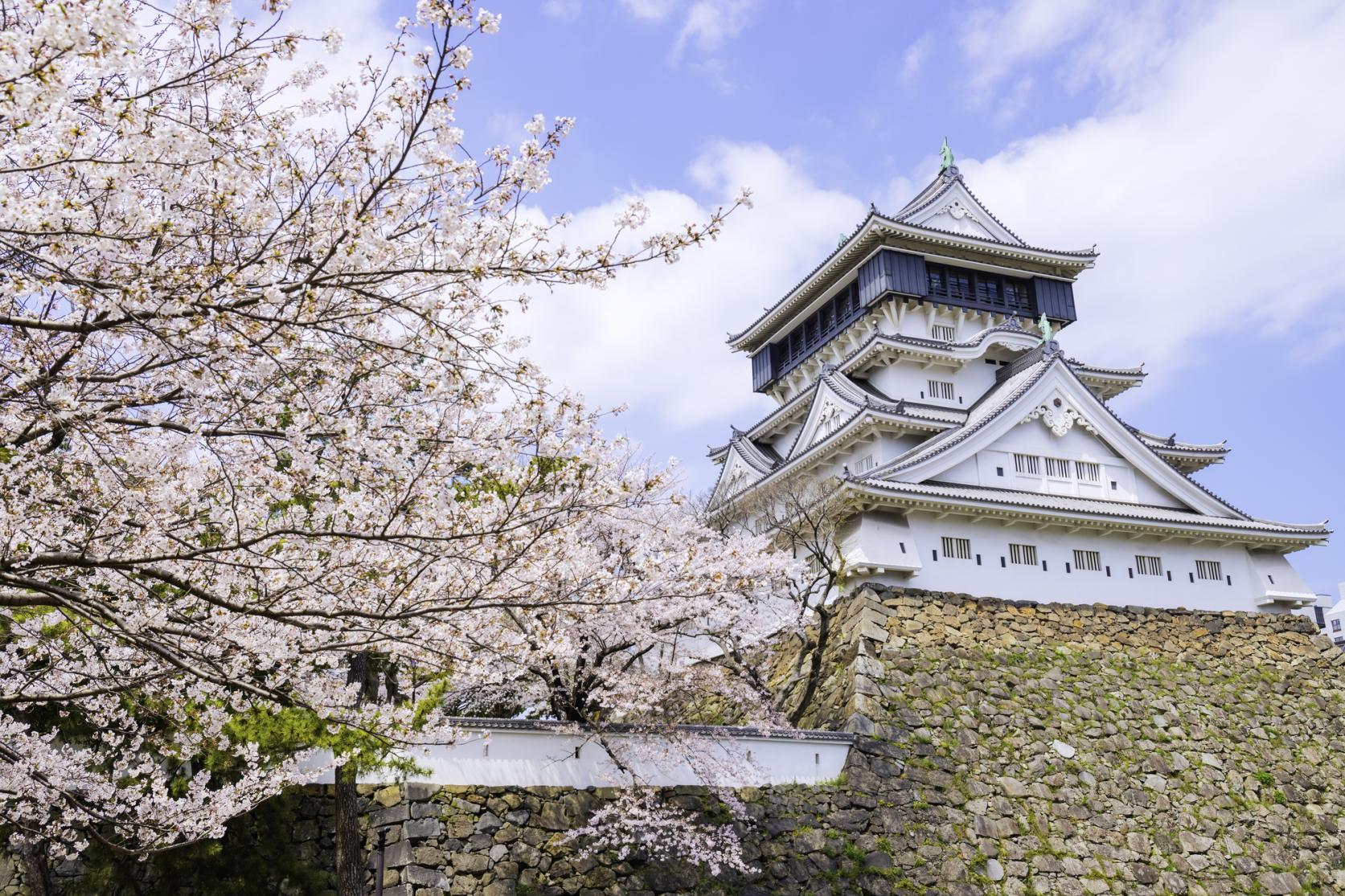 Places to See Cherry Blossoms in the Kitakyushu Area-0