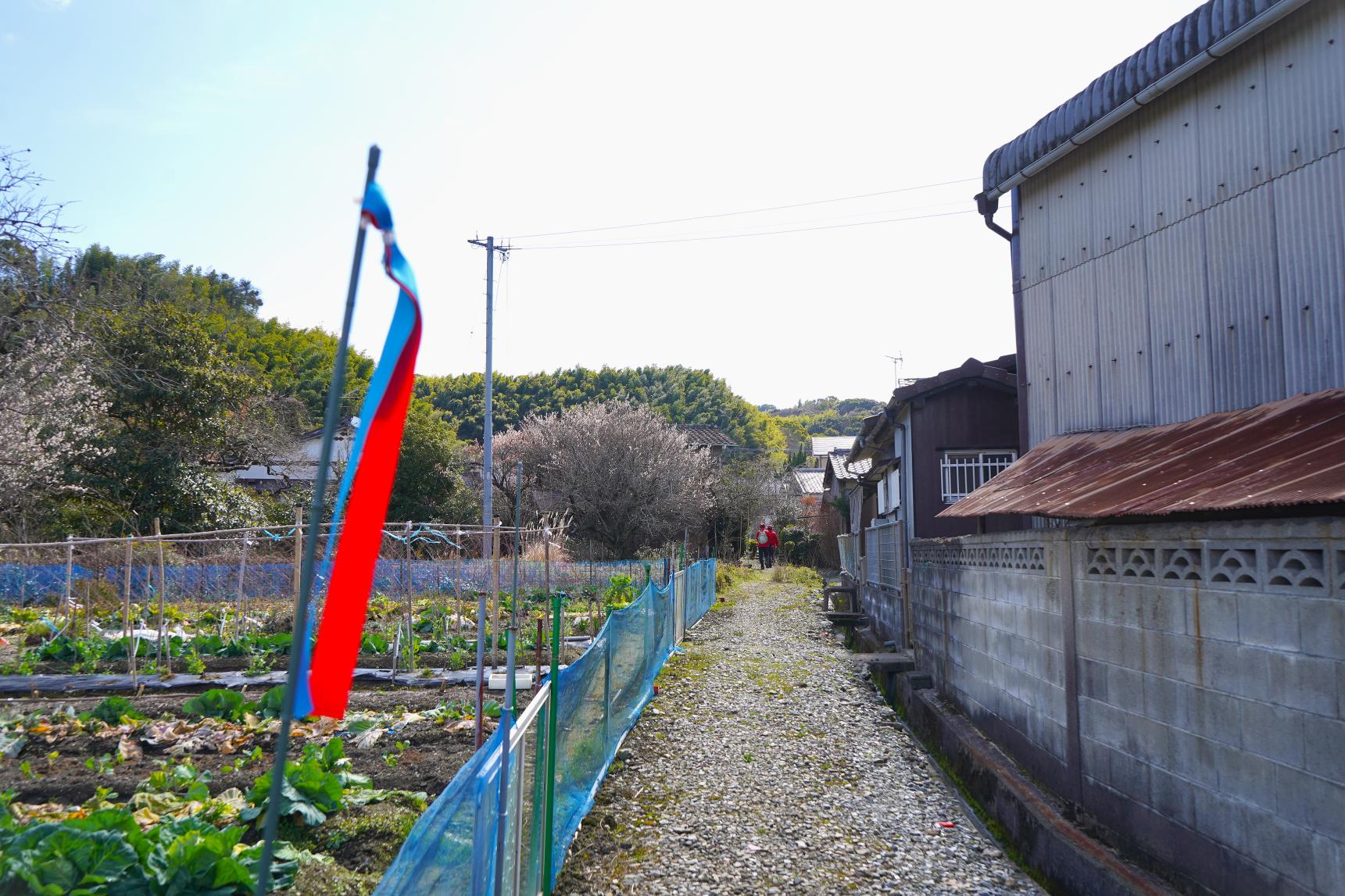 미야마·기요미즈야마 코스-2