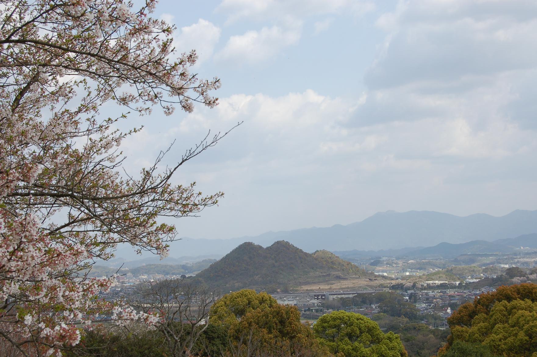 Places to See Cherry Blossoms in the Chikuho Area-0