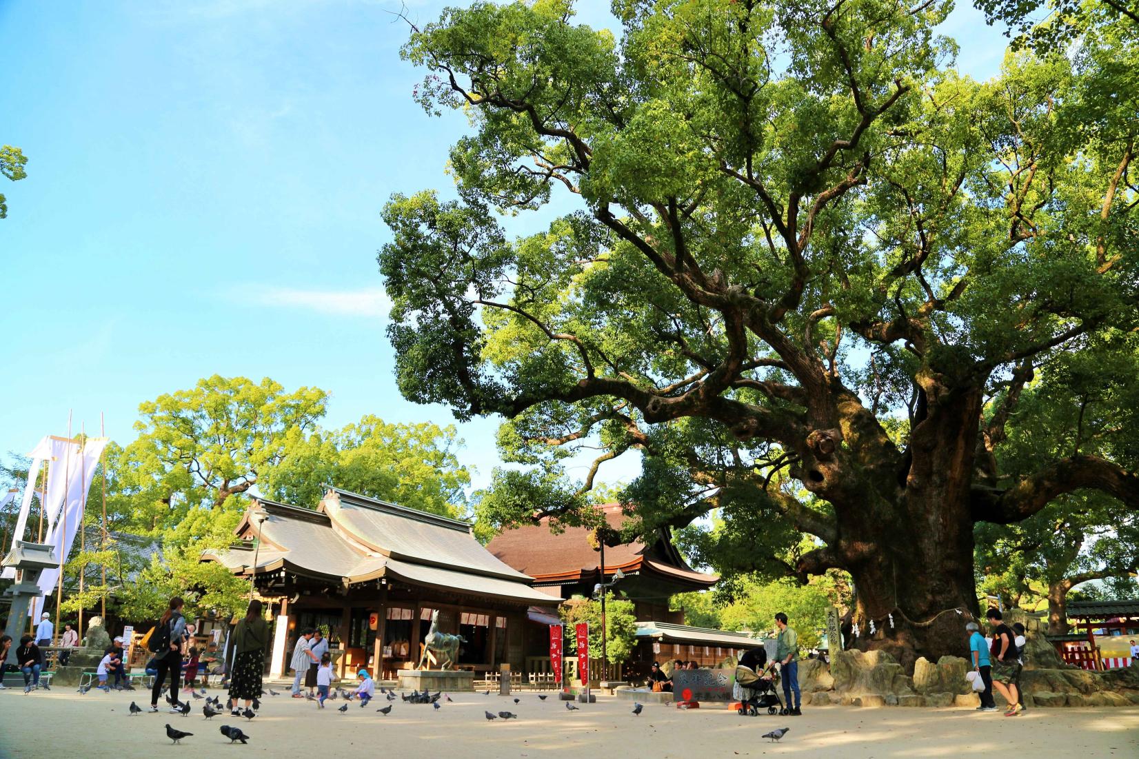 ＜宇美町での楽しみ方①＞宇美町で歴史のタイムトラベル！-0