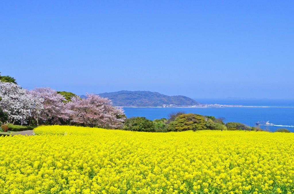 福岡市ってどんなところ？-6