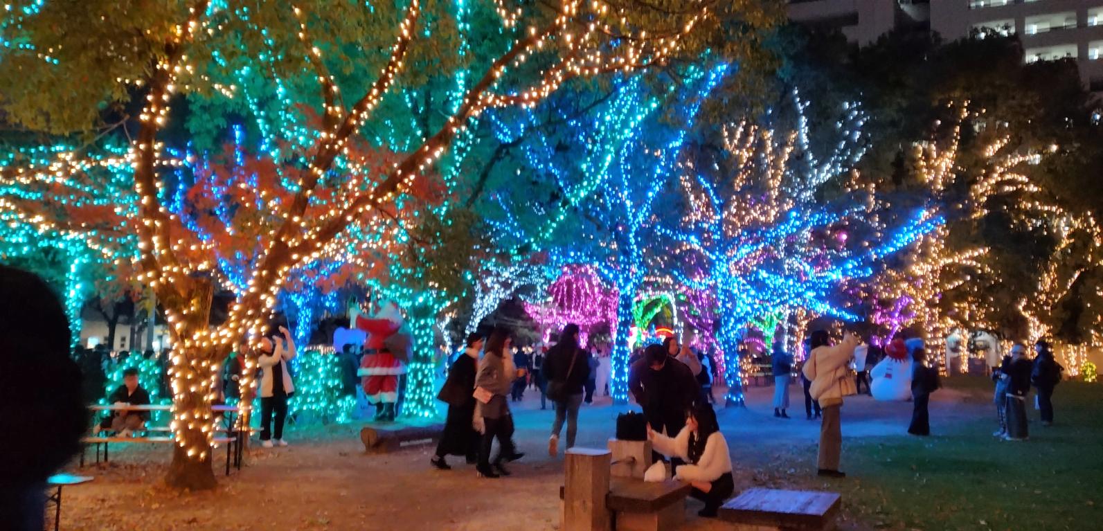 【天神中央公園】QTnet presents 光のフォレスト-4