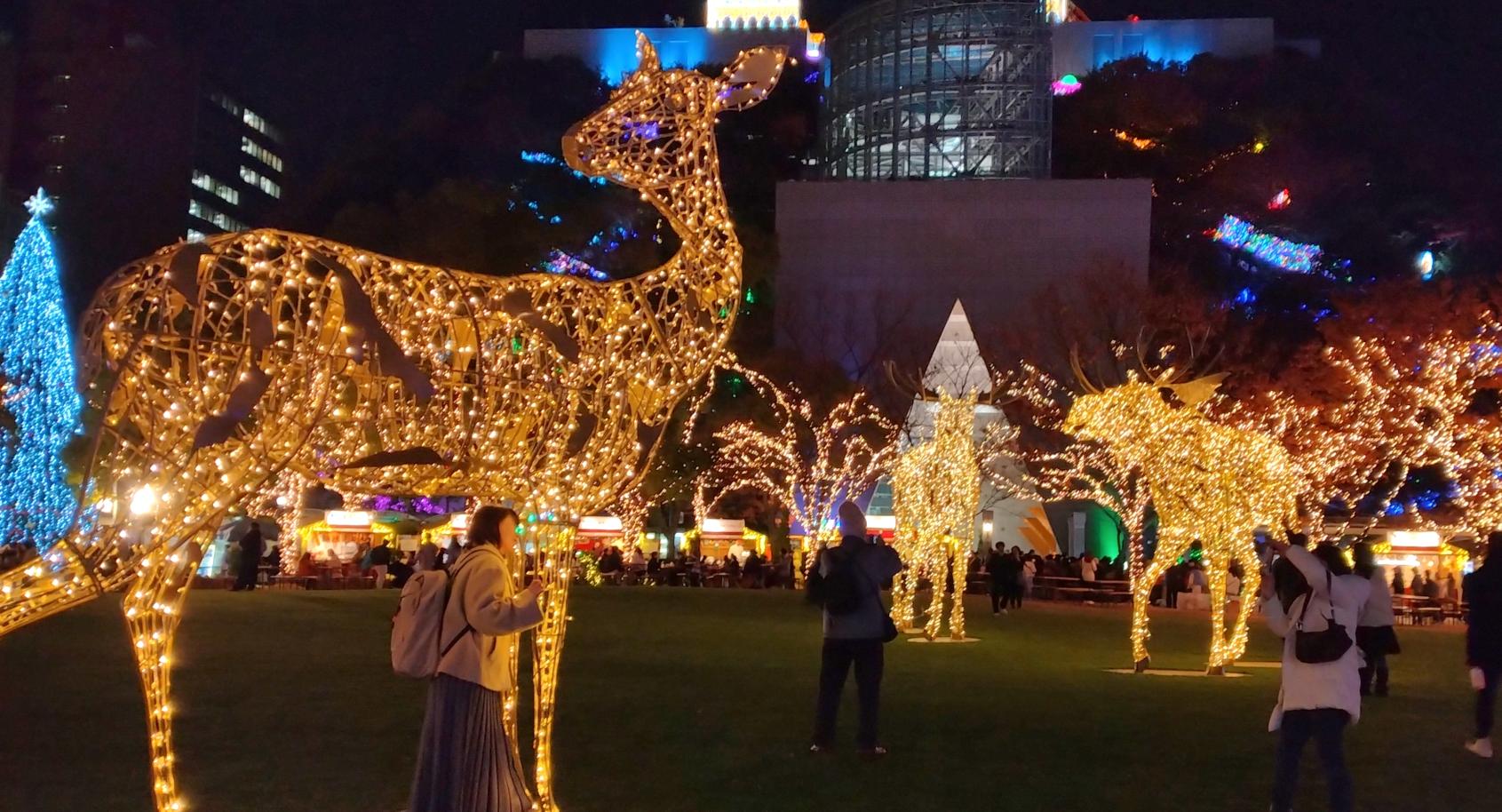 【天神中央公園】QTnet presents 光のフォレスト-3