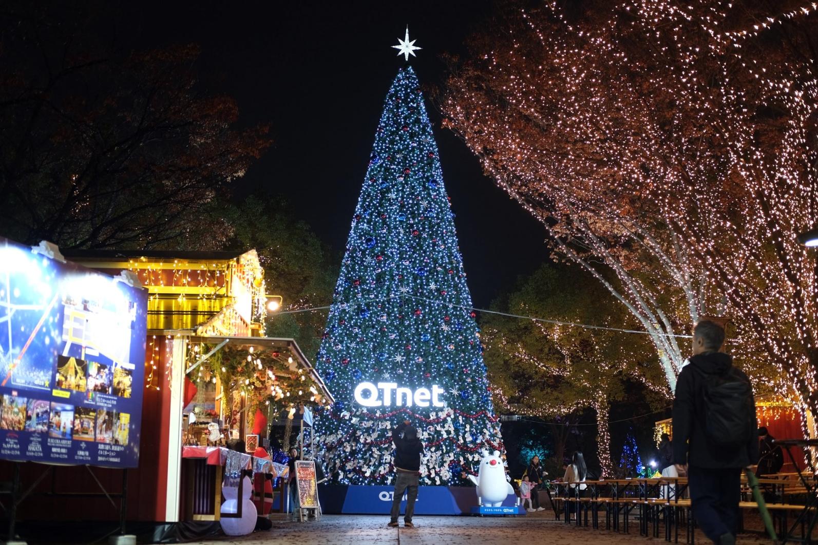 【天神中央公園】QTnet presents 光のフォレスト-1