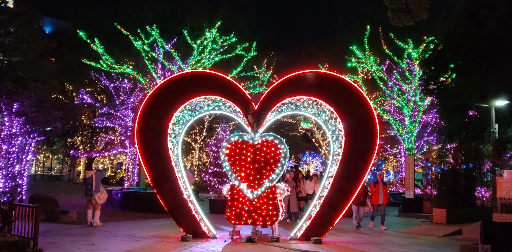 【天神中央公園】QTnet presents 光のフォレスト-6