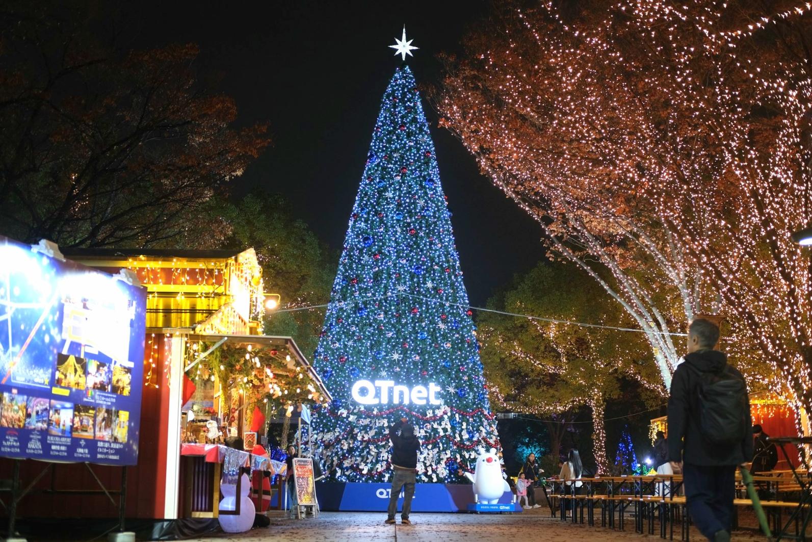 【天神中央公園】QTnet presents 光のフォレスト-1