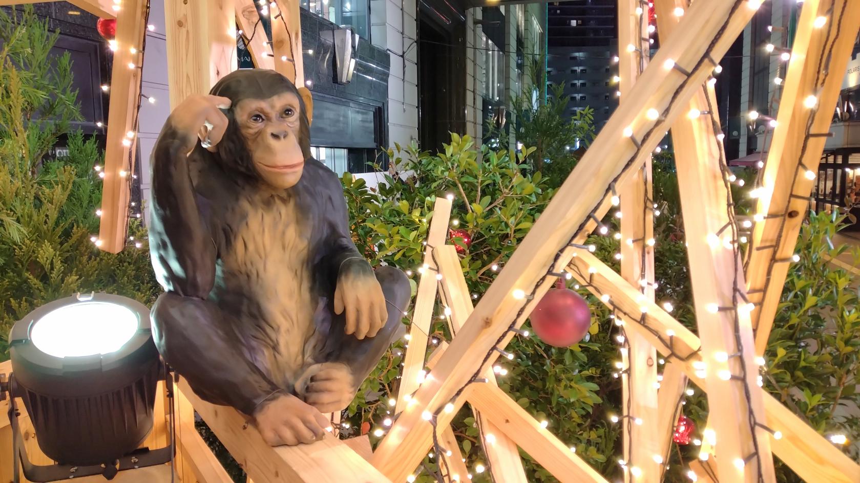 【パサージュ広場】CHRISTMAS MARKET in Passage-5