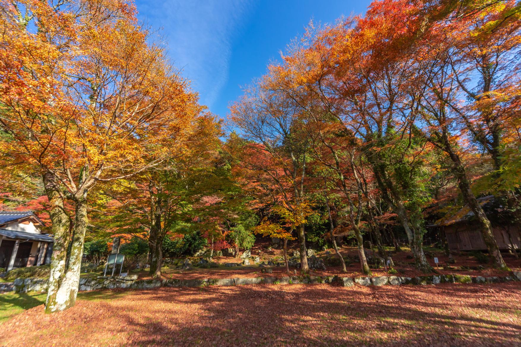 添田町ってどんなところ？-5