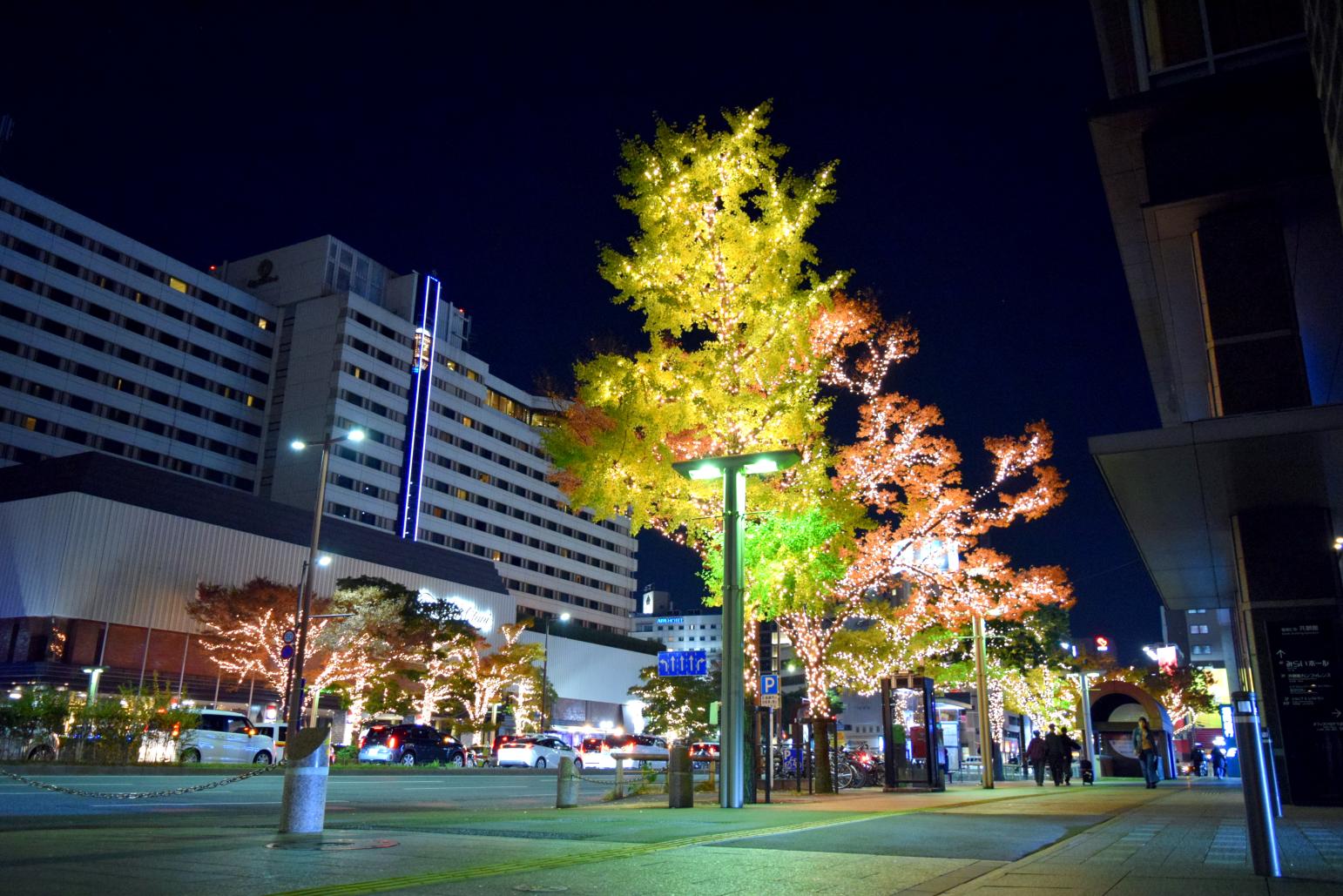 【渡辺通り】渡辺通イルミネーション-0