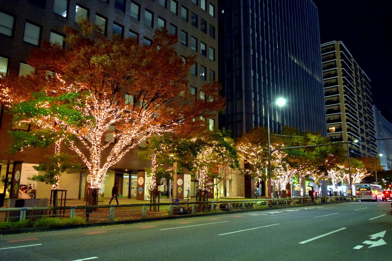 【渡辺通り】渡辺通イルミネーション-2