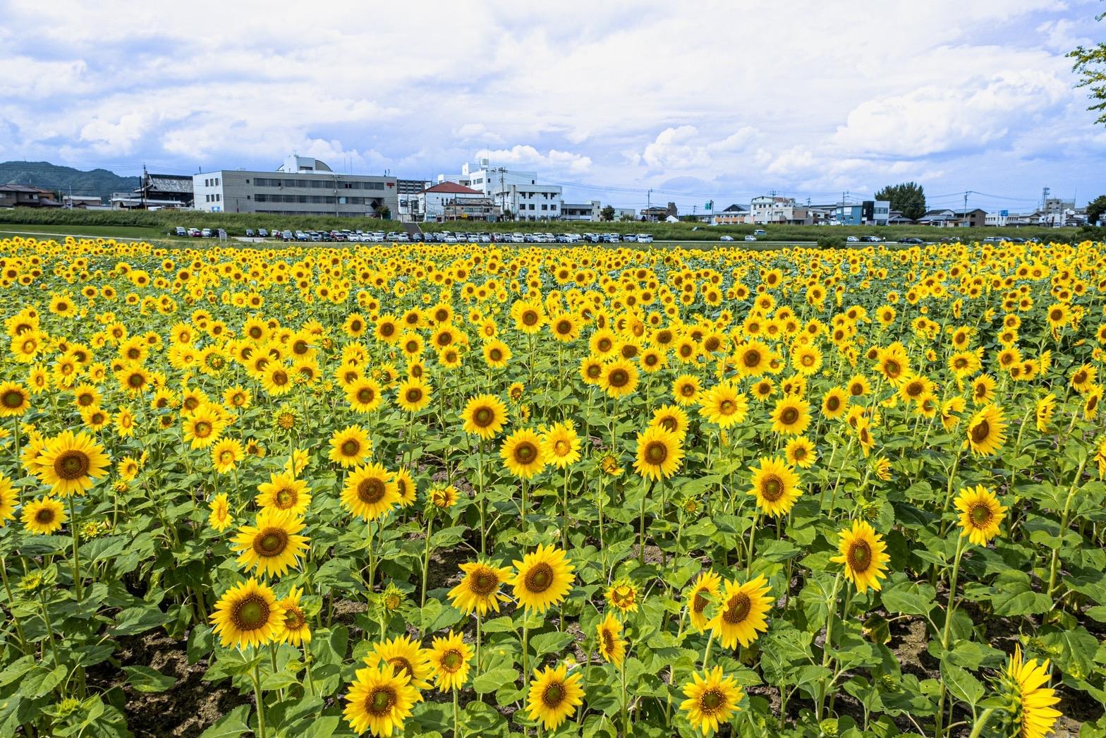直方市ってどんなところ？-3