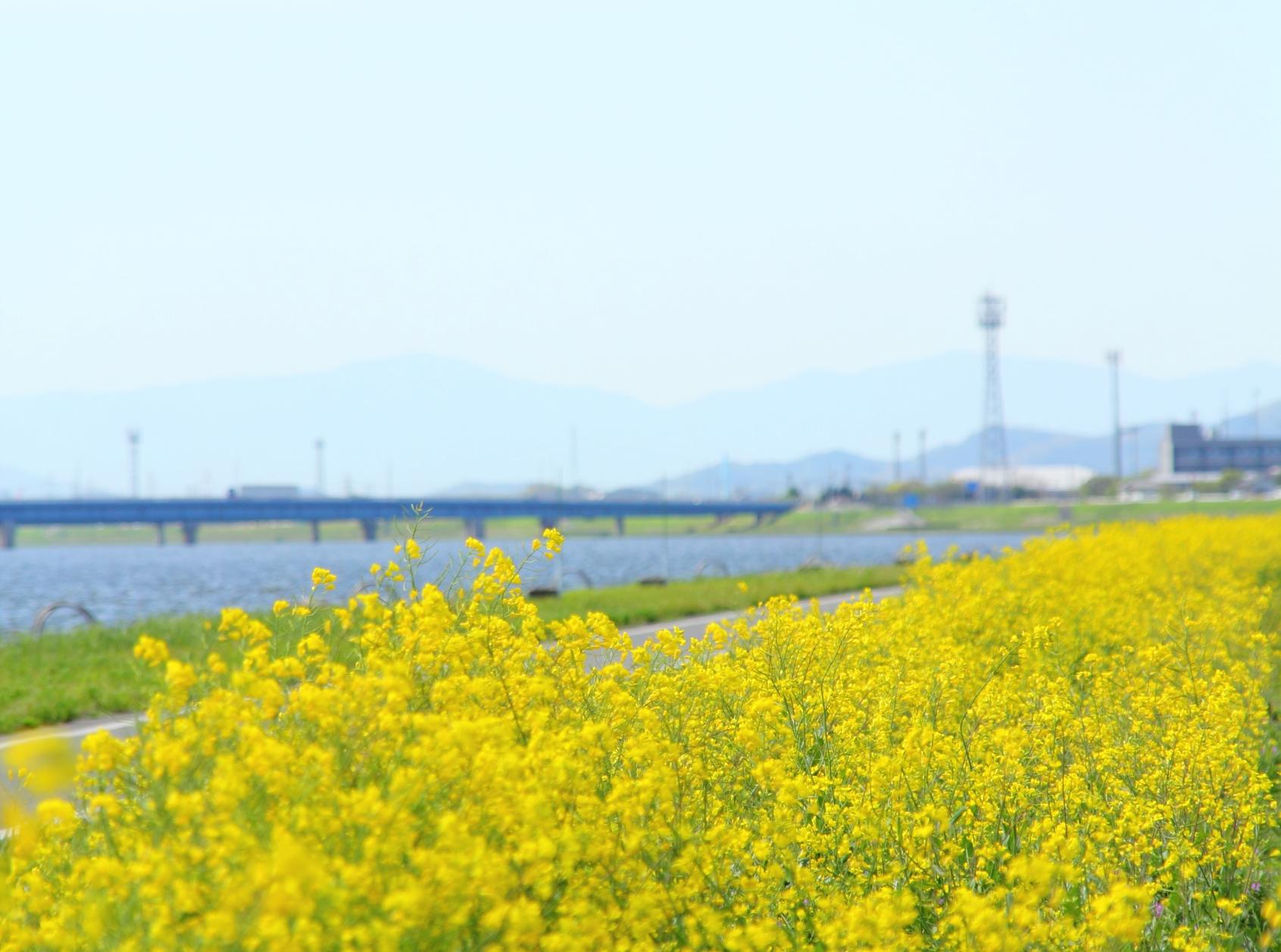 遠賀町ってどんなところ？-3