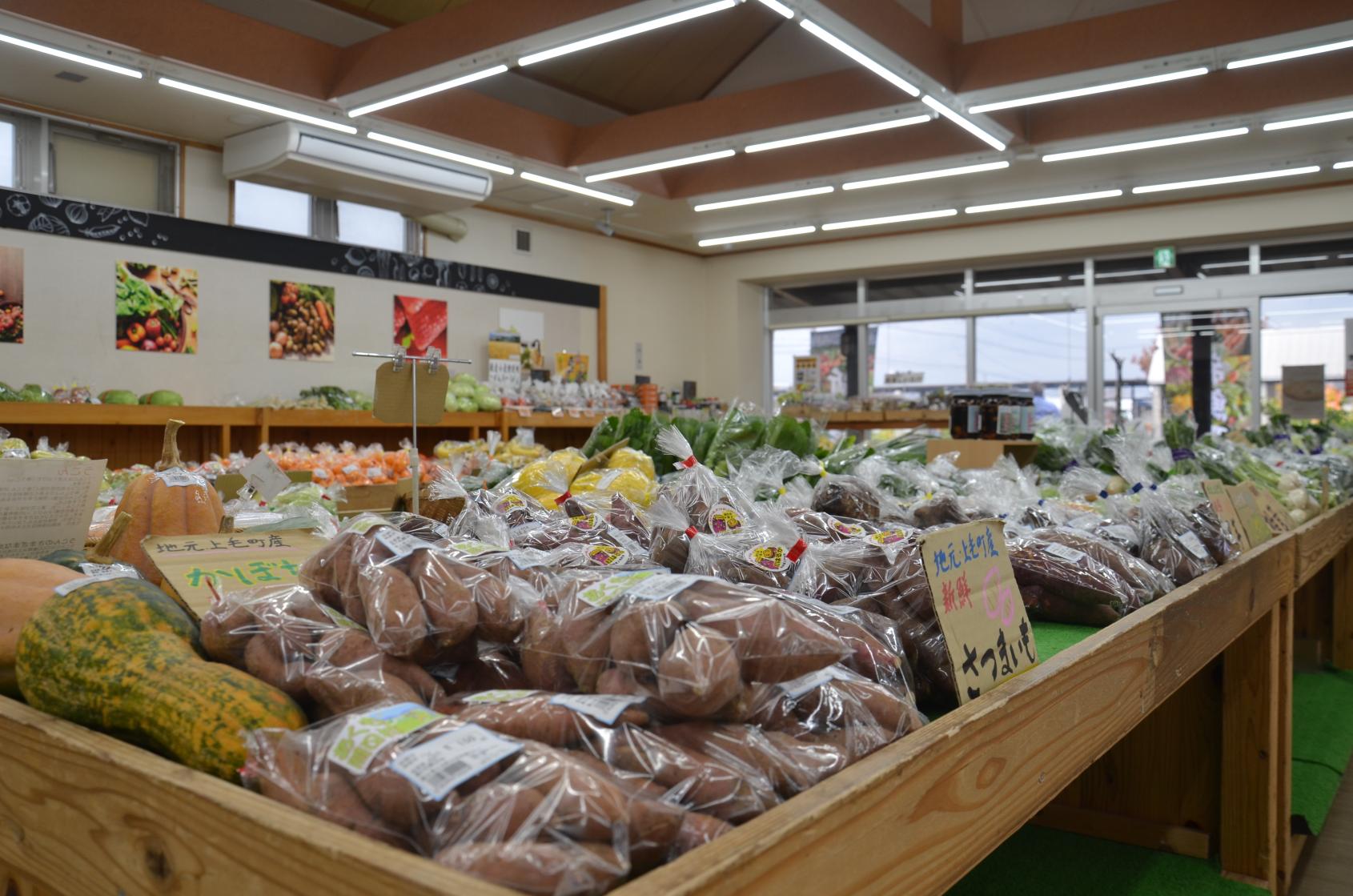 ＜上毛町での楽しみ方➀＞史跡一体型の道の駅では「食」と「自然」も満喫-1