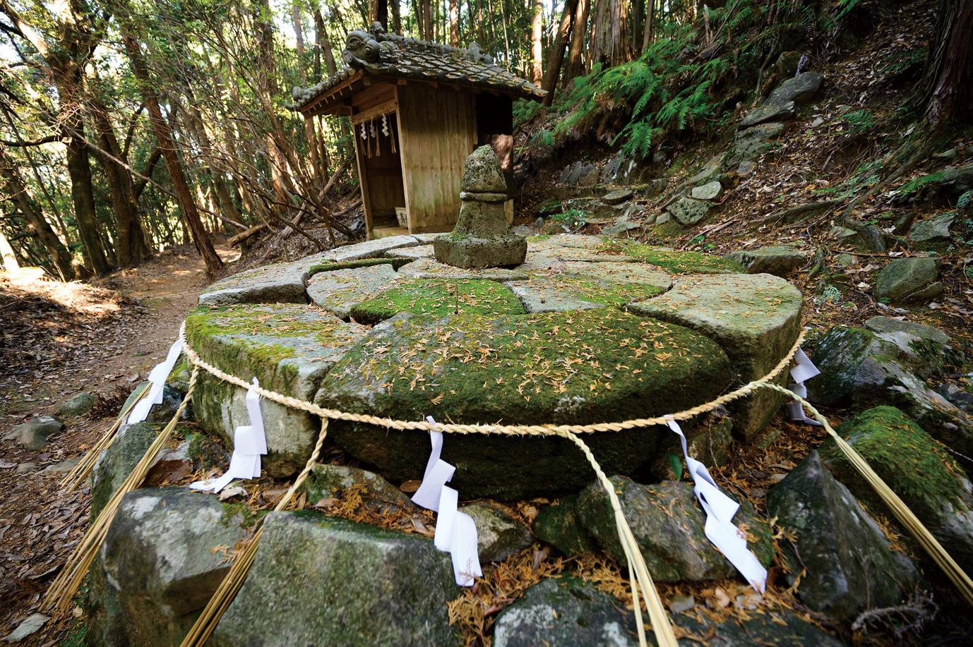 ＜上毛町での楽しみ方②＞古代の風を感じながら歴史散策を楽しむ-3