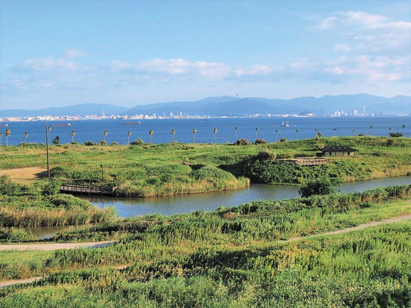 国営海の中道海浜公園-0