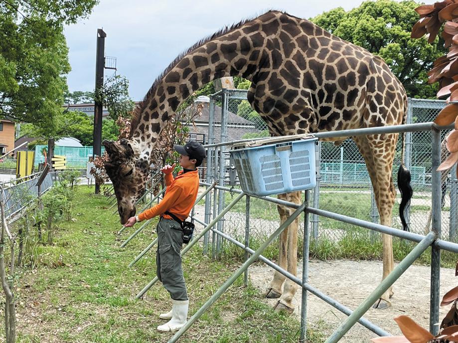 大牟田市動物園-0