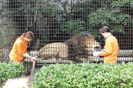 大牟田市動物園-1