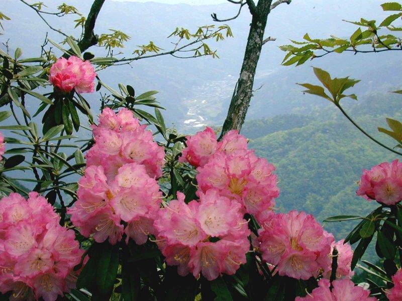 豊前市ってどんなところ？-2