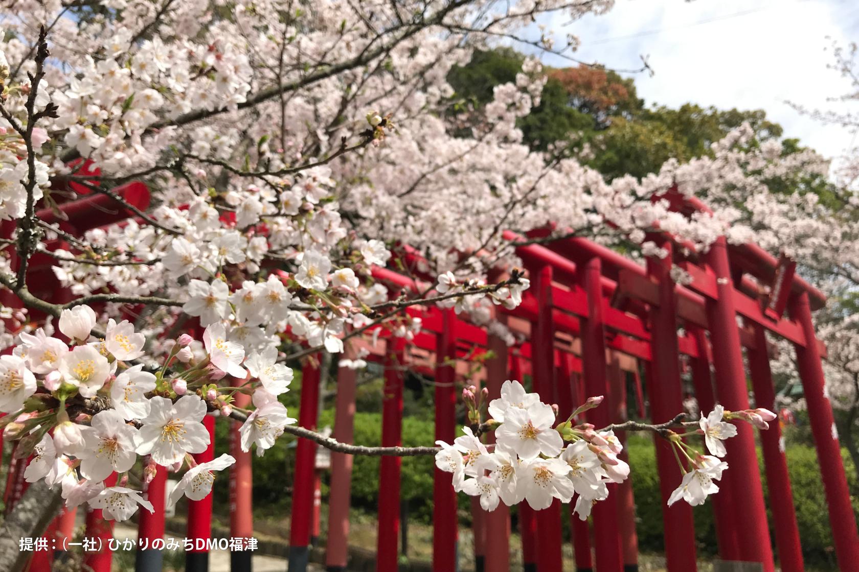 ＜福津市での楽しみ方➀＞何事にも打ち勝つ開運の神様・宮地嶽神社と絶景「光の道」-4