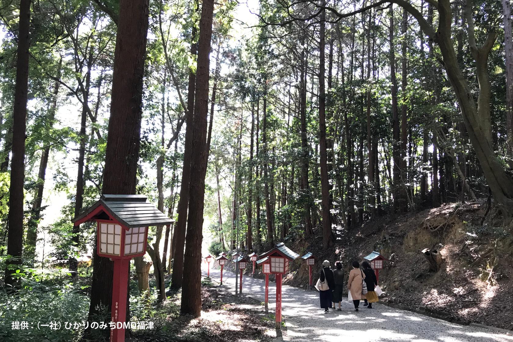 ＜福津市での楽しみ方➀＞何事にも打ち勝つ開運の神様・宮地嶽神社と絶景「光の道」-7
