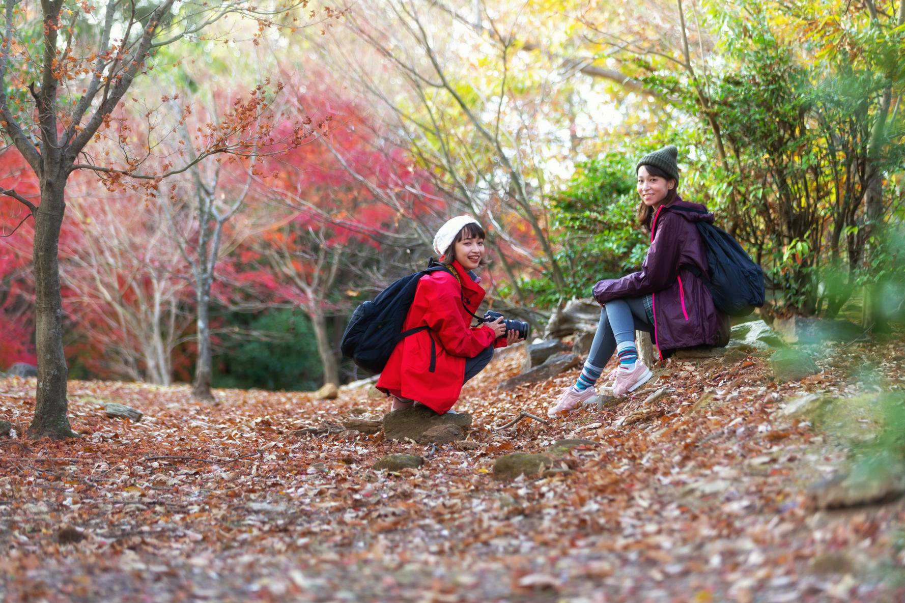 ＜みやま市での楽しみ方➀＞鮮やかな紅葉に染まる秋の清水山を散策-7