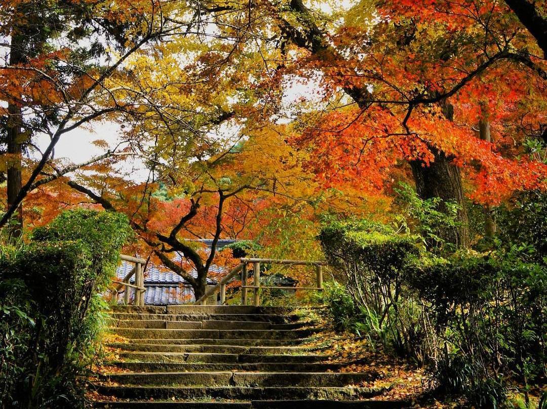 ＜みやま市での楽しみ方➀＞鮮やかな紅葉に染まる秋の清水山を散策-0