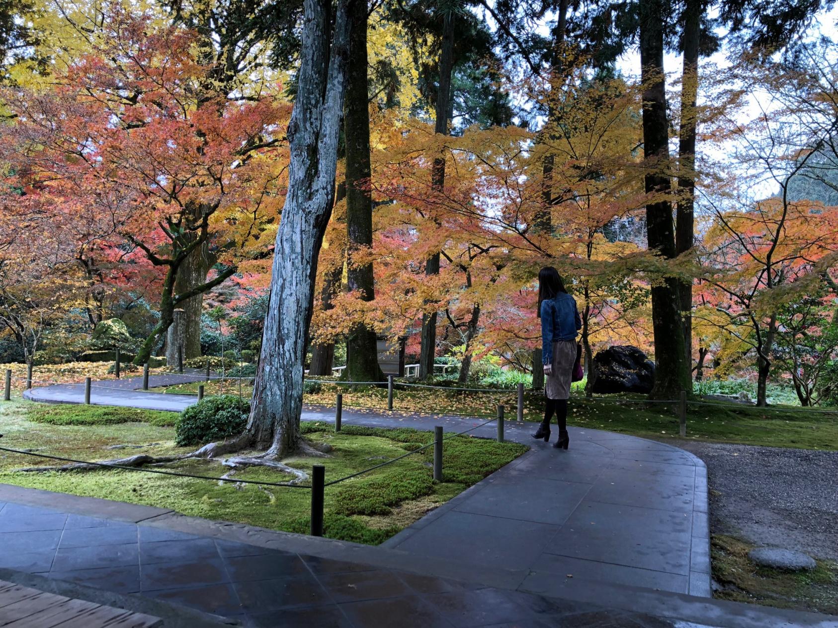 ＜みやま市での楽しみ方➀＞鮮やかな紅葉に染まる秋の清水山を散策-1