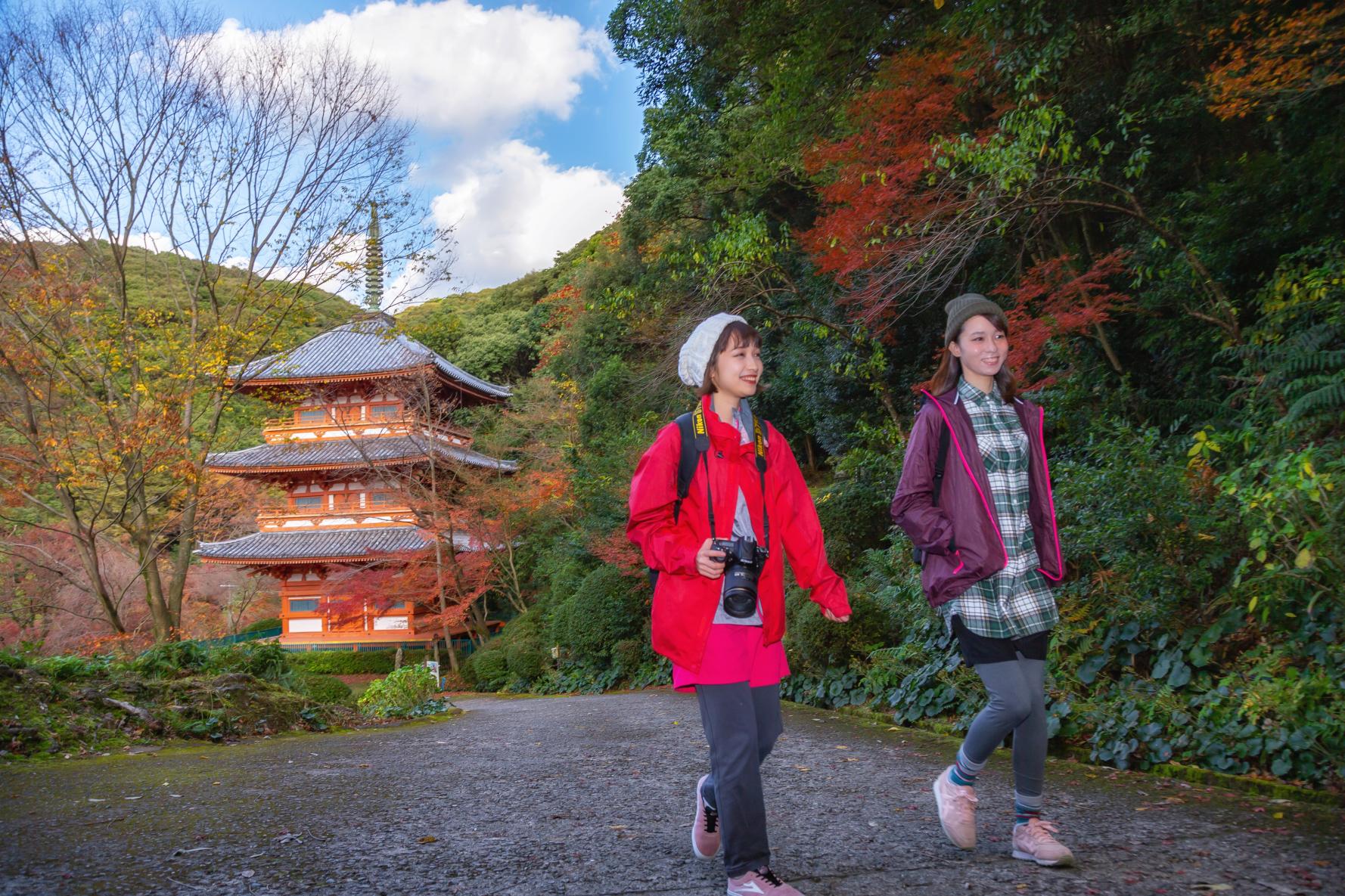 ＜みやま市での楽しみ方➀＞鮮やかな紅葉に染まる秋の清水山を散策-6