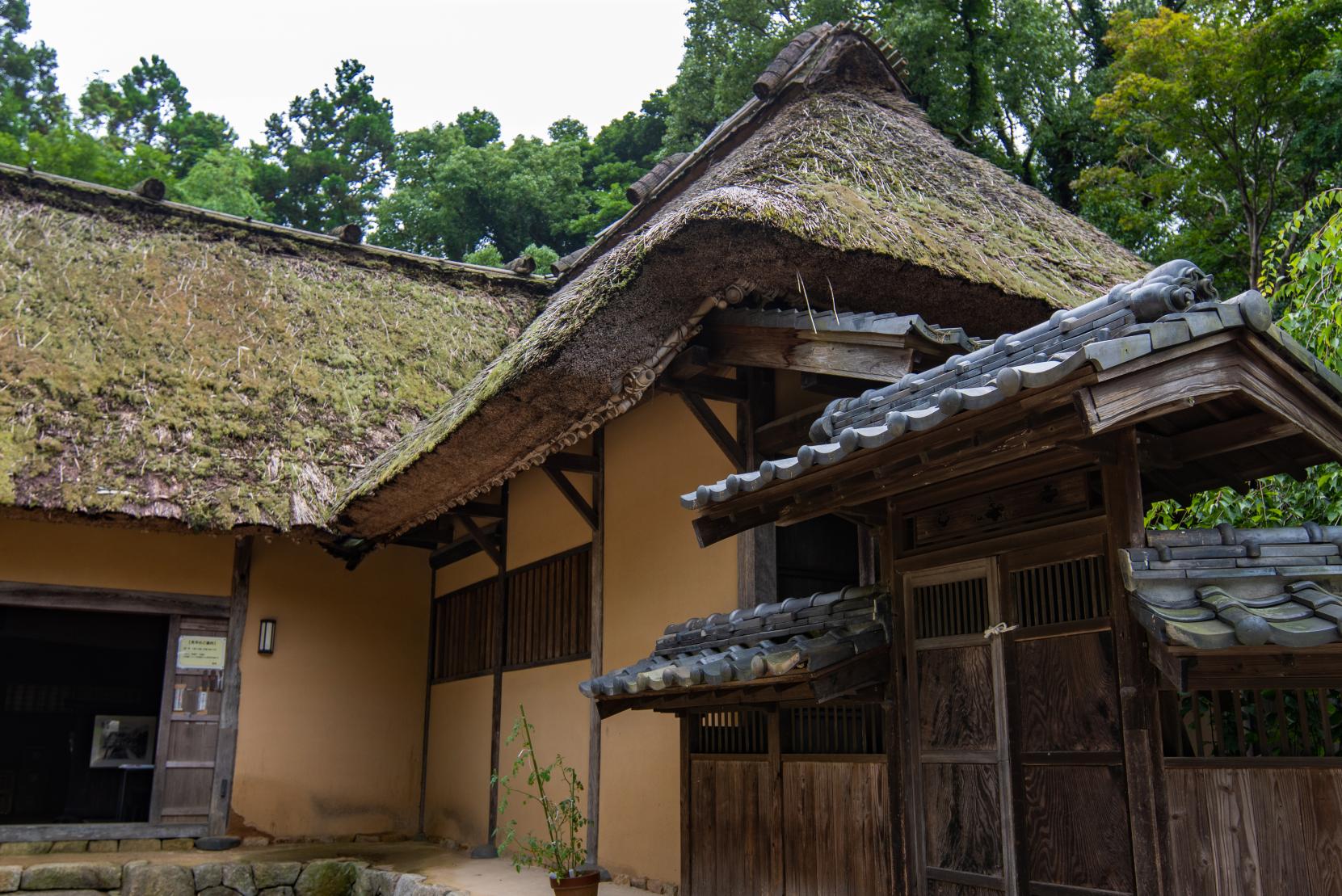 ＜新宮町での楽しみ方②＞古代からの歴史を感じる貴重な遺跡が点在-6