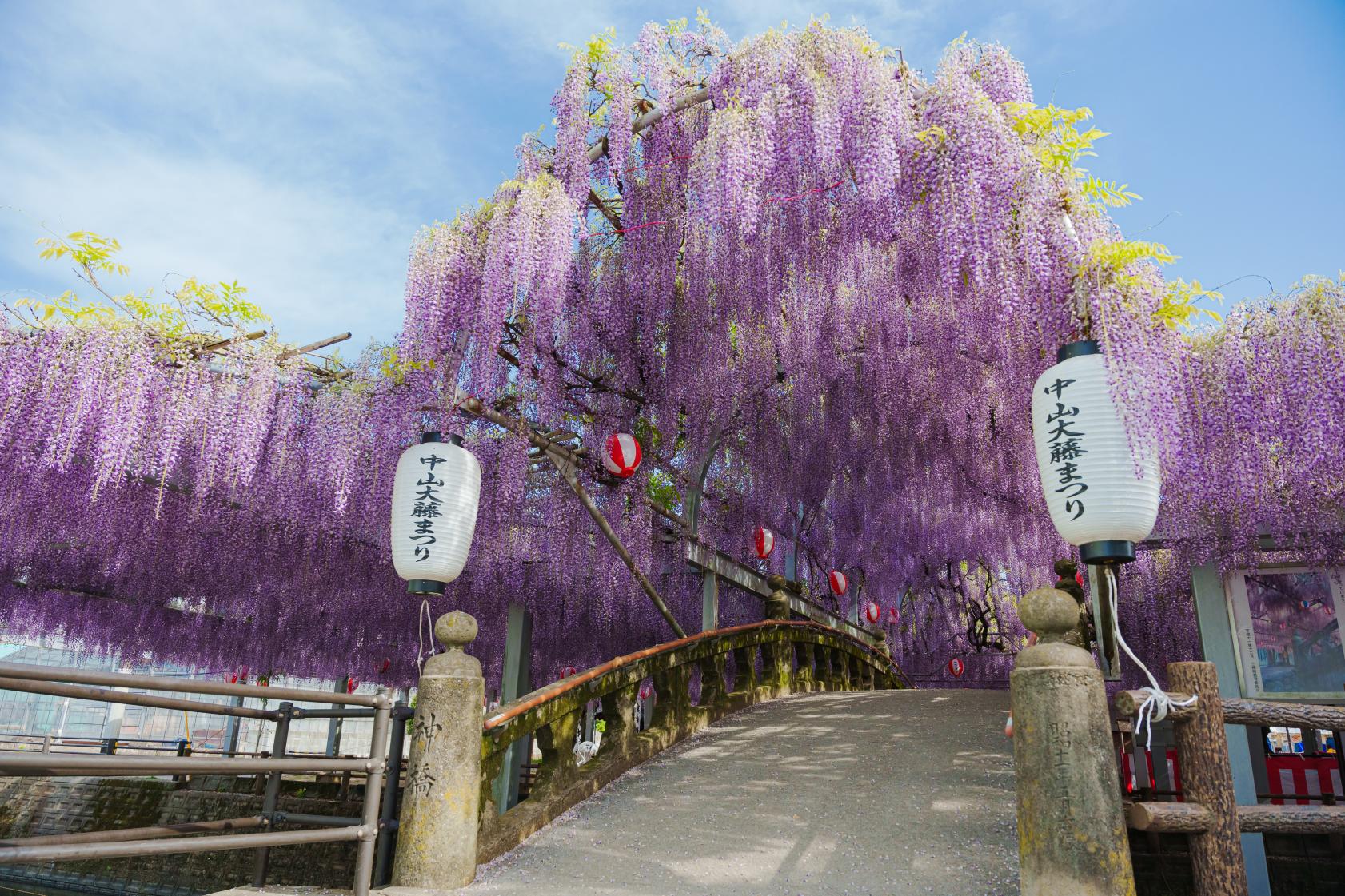 柳川市ってどんなところ？-5