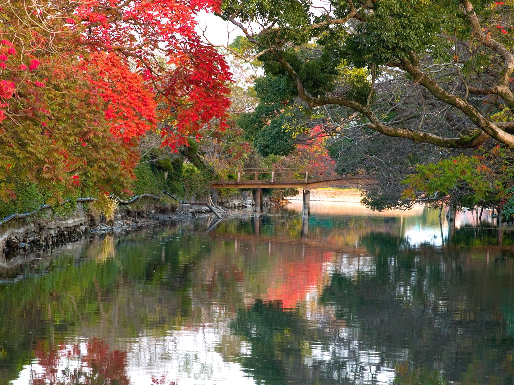 柳川市ってどんなところ？-8