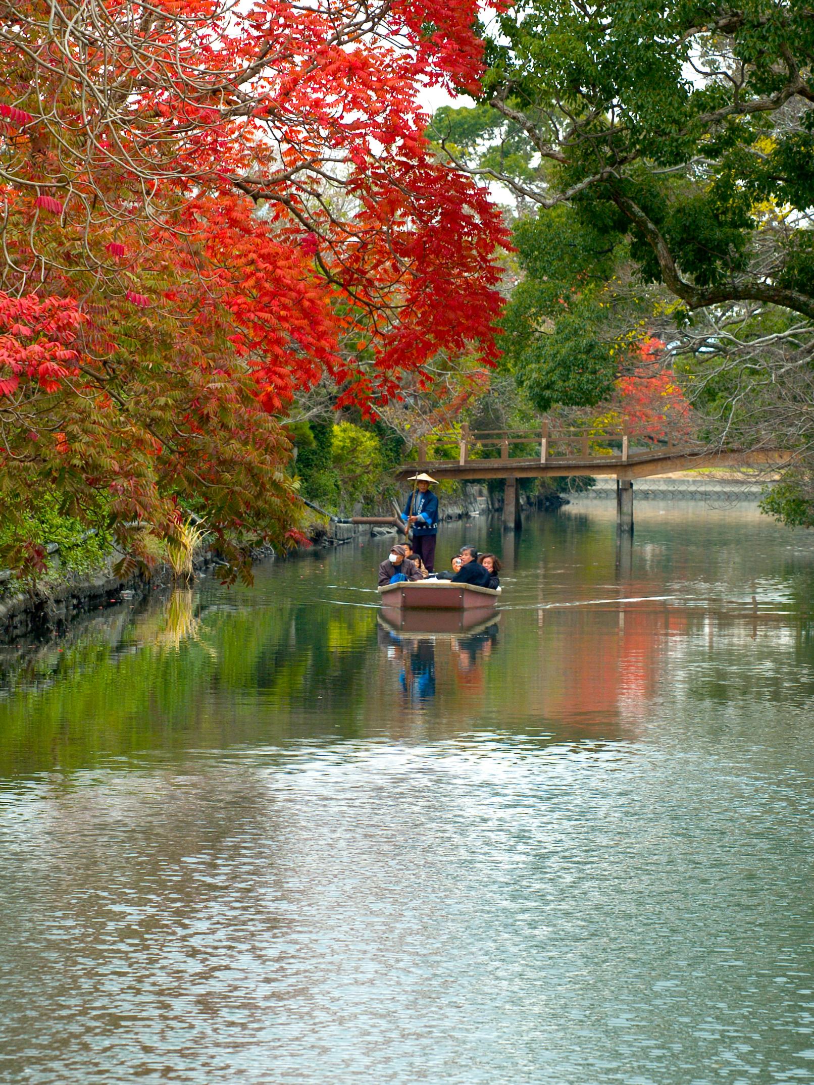 ＜柳川市での楽しみ方➀＞風情あふれる「水郷柳川」を彩る四季折々の風景-5