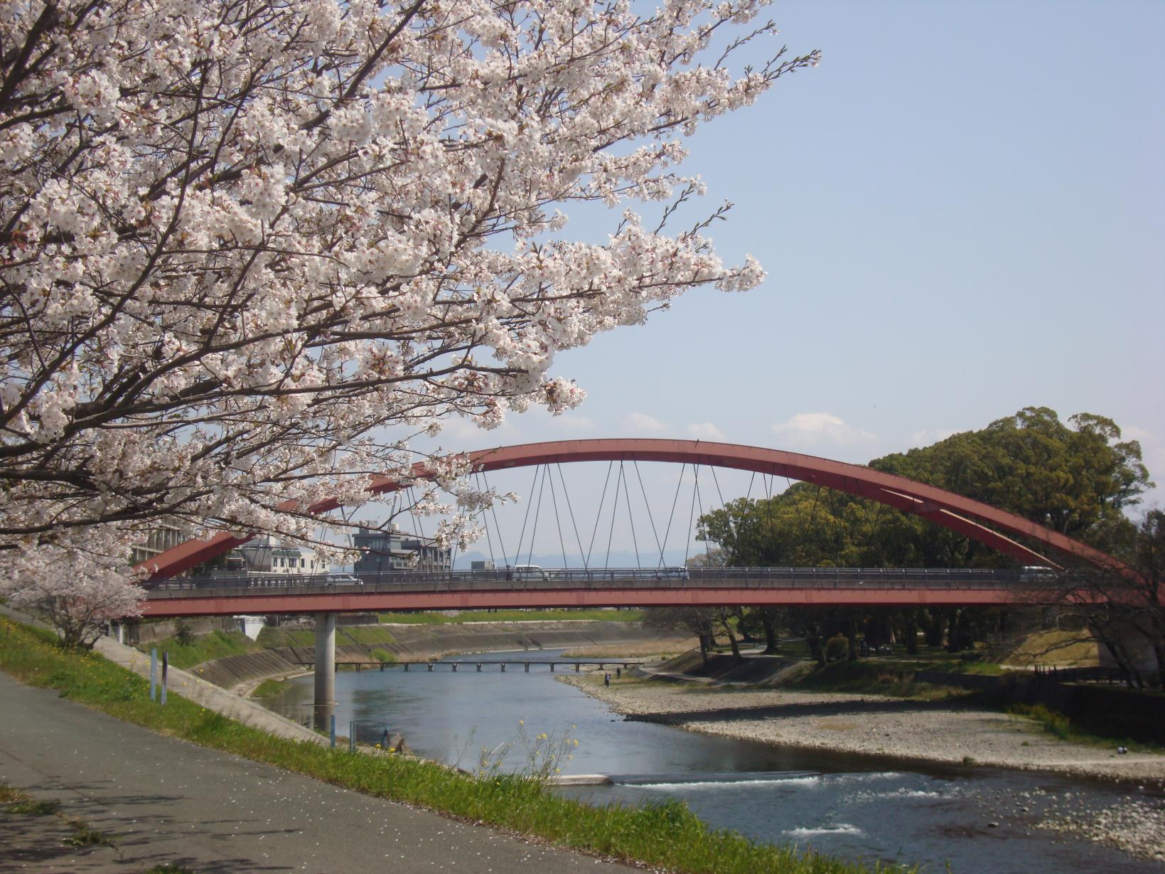 筑後市ってどんなところ？-0