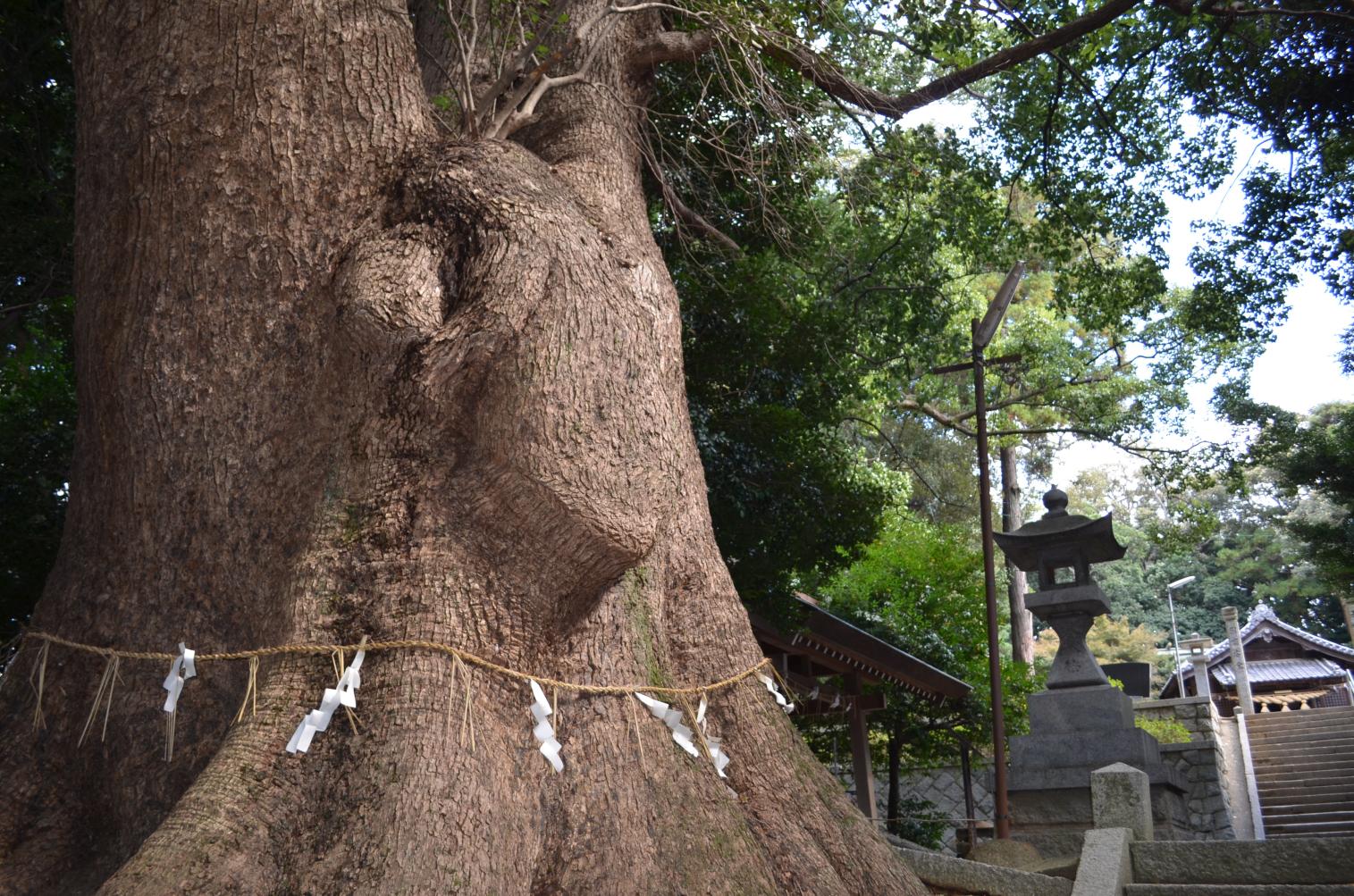 古賀市ってどんなところ？-4