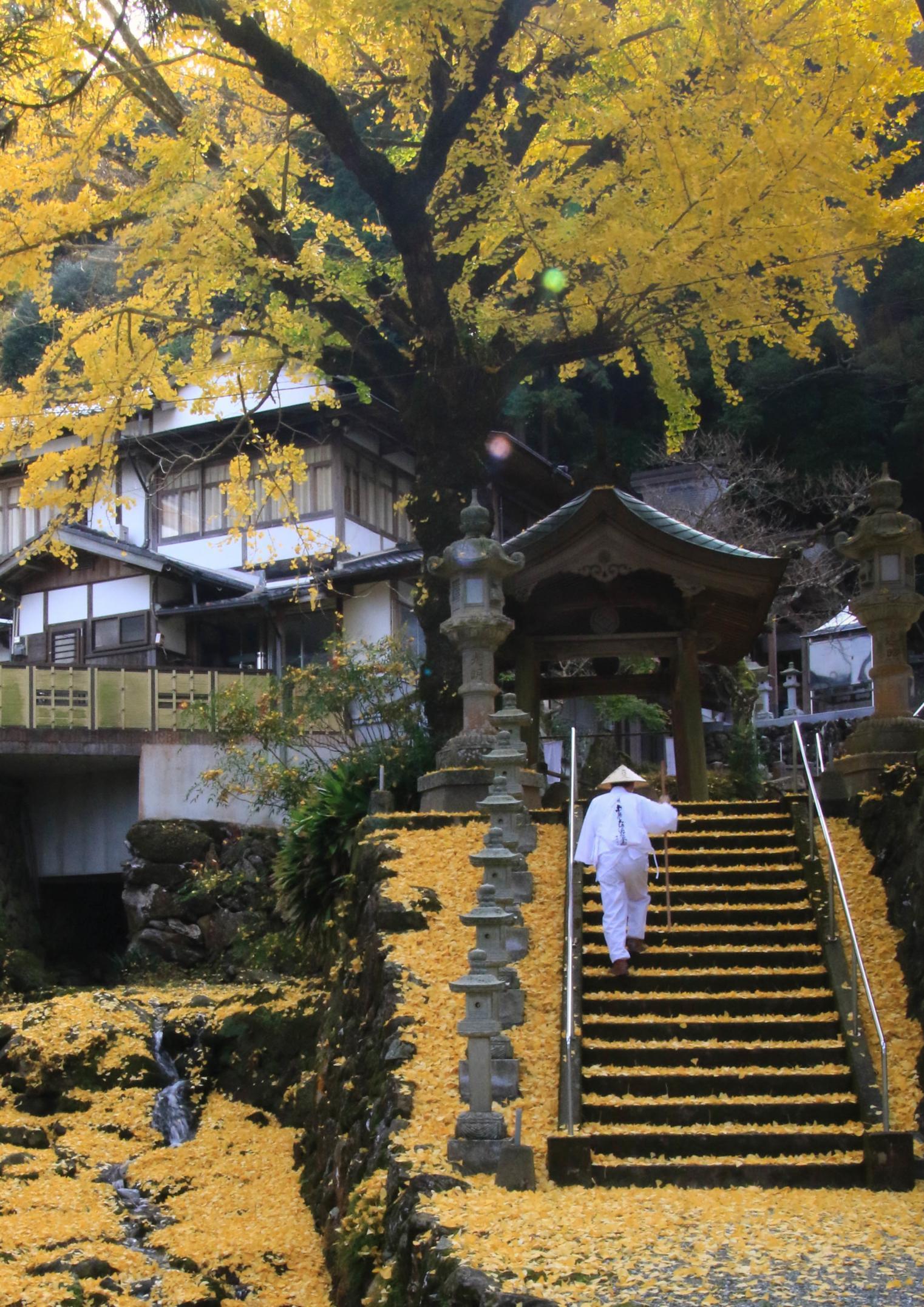 ＜篠栗町での楽しみ方➀＞四季折々の美しい景色を楽しみながら、篠栗四国八十八ヶ所めぐり-7