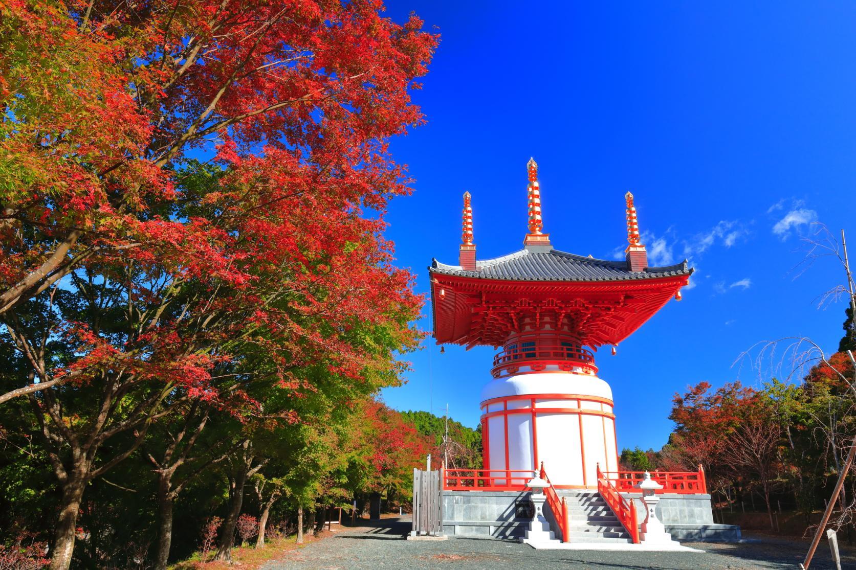 ＜篠栗町での楽しみ方➀＞四季折々の美しい景色を楽しみながら、篠栗四国八十八ヶ所めぐり-5