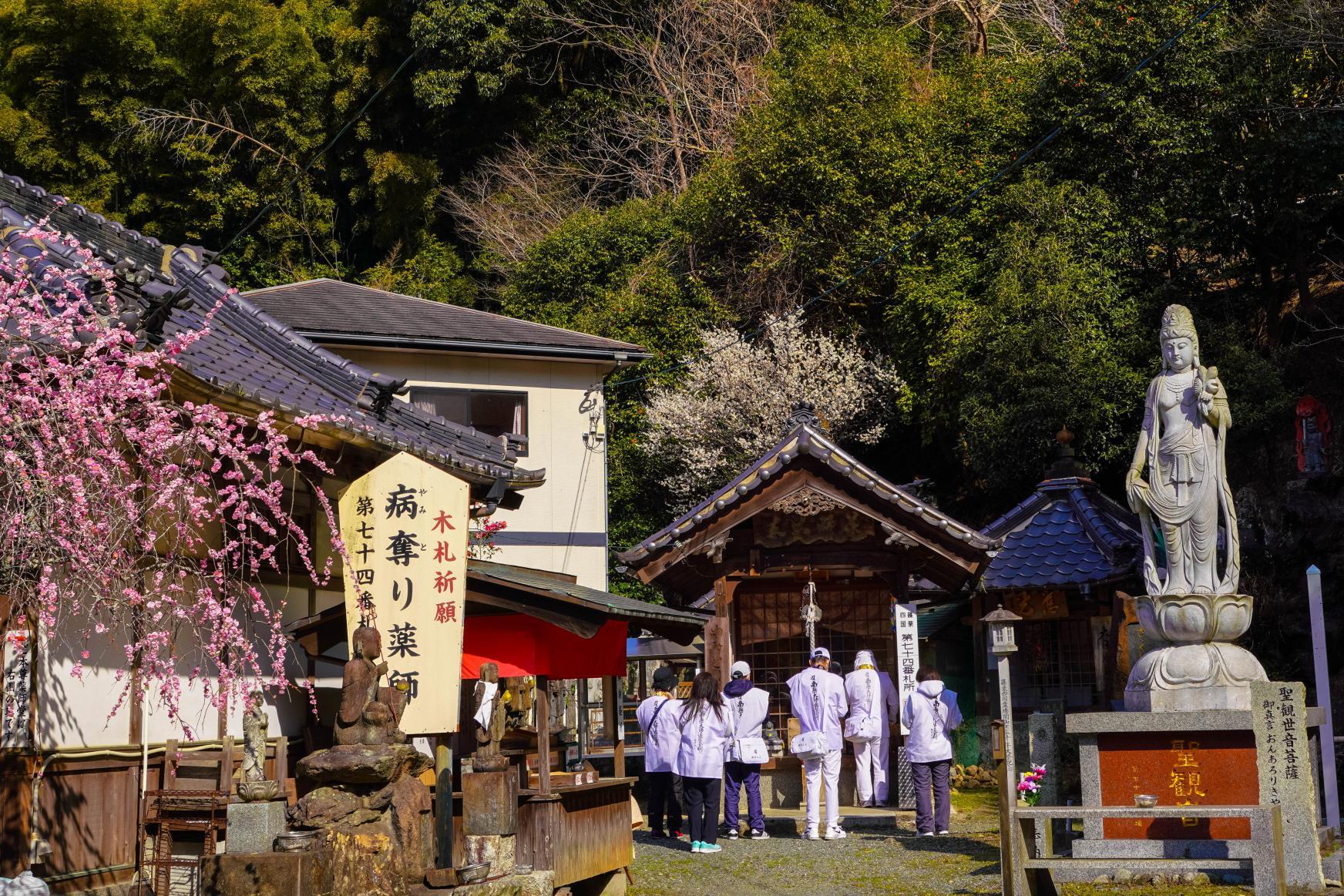 ＜篠栗町での楽しみ方➀＞四季折々の美しい景色を楽しみながら、篠栗四国八十八ヶ所めぐり-1