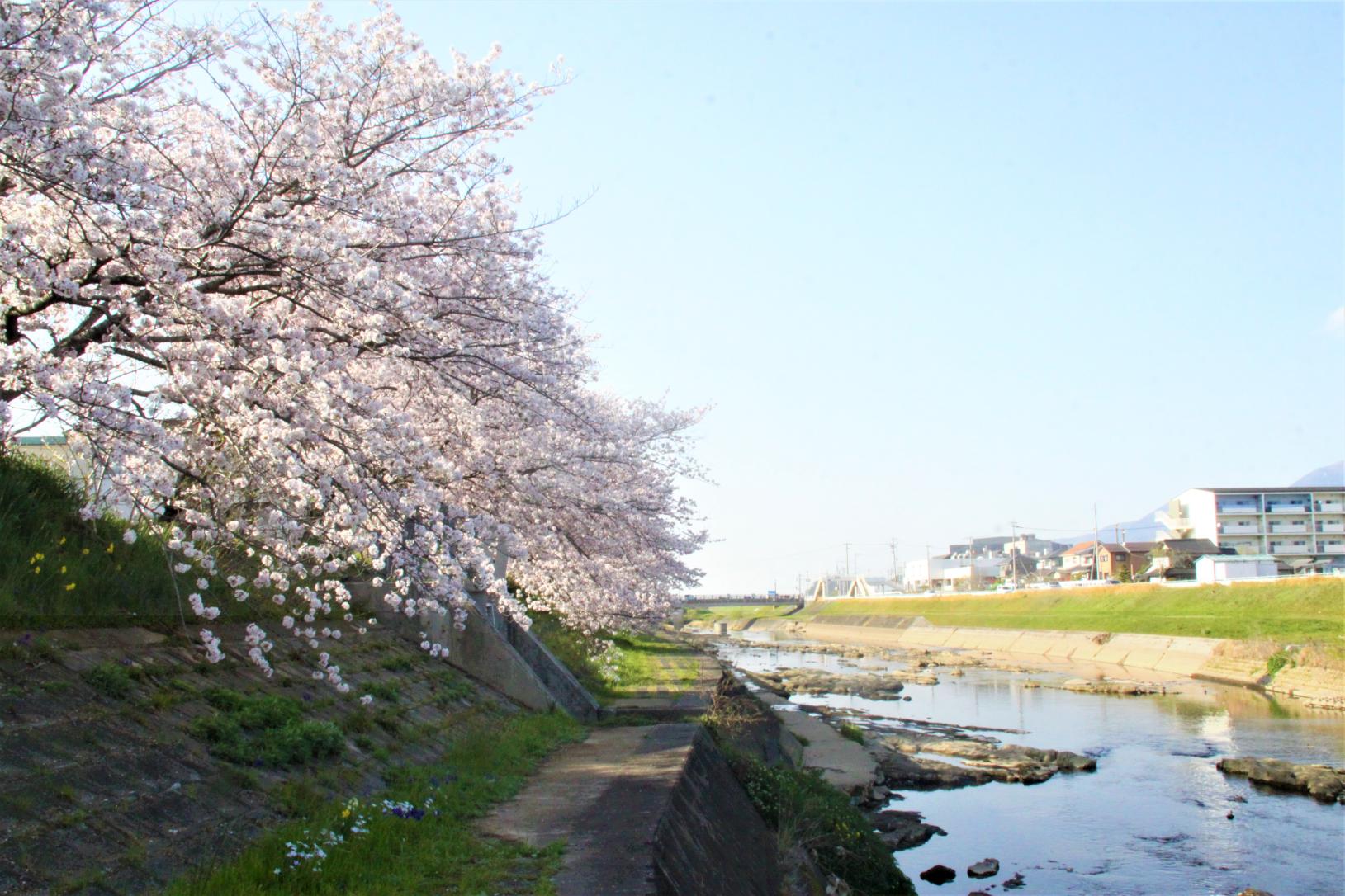 糸田町ってどんなところ？-0