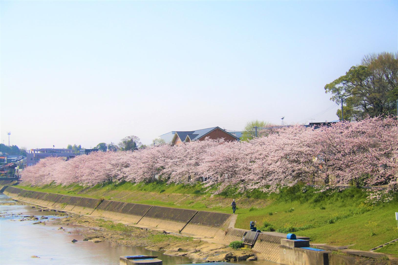 糸田町ってどんなところ？-1