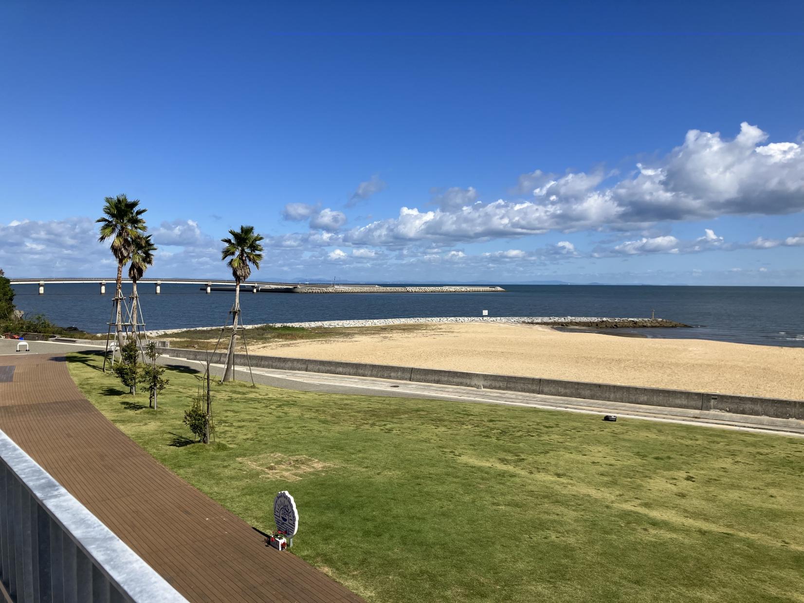 ＜行橋市での楽しみ方➀＞行橋の海沿いの四季を楽しもう-0