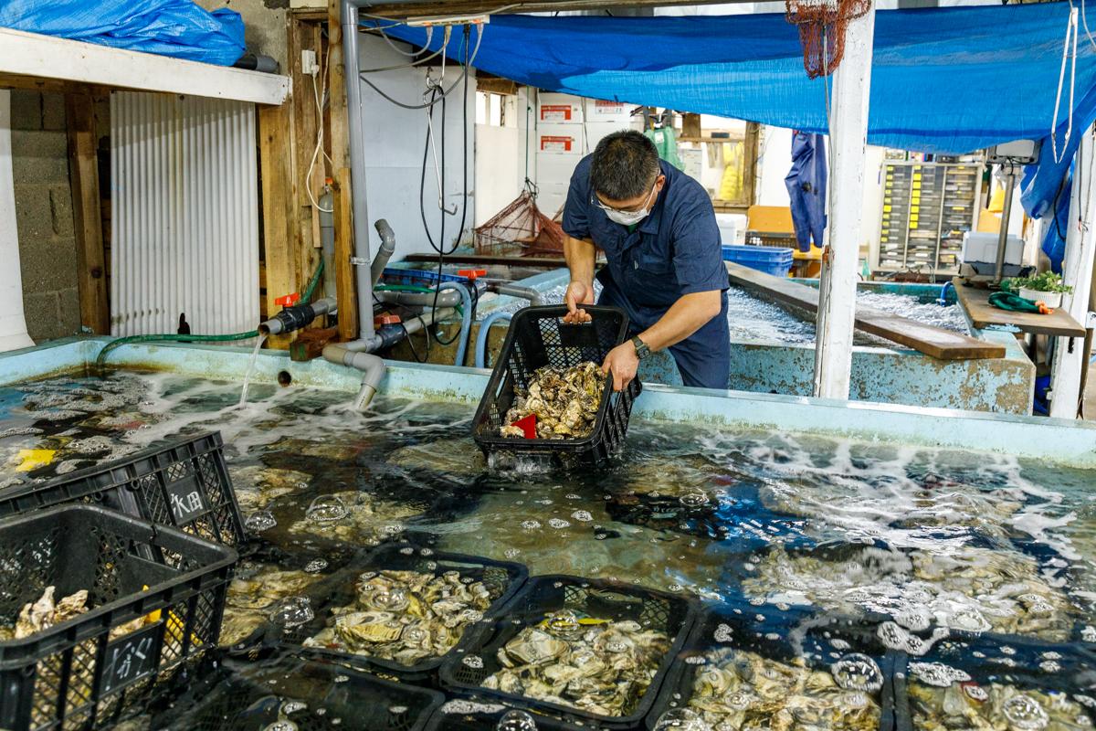 ＜行橋市での楽しみ方➀＞行橋の海沿いの四季を楽しもう-8
