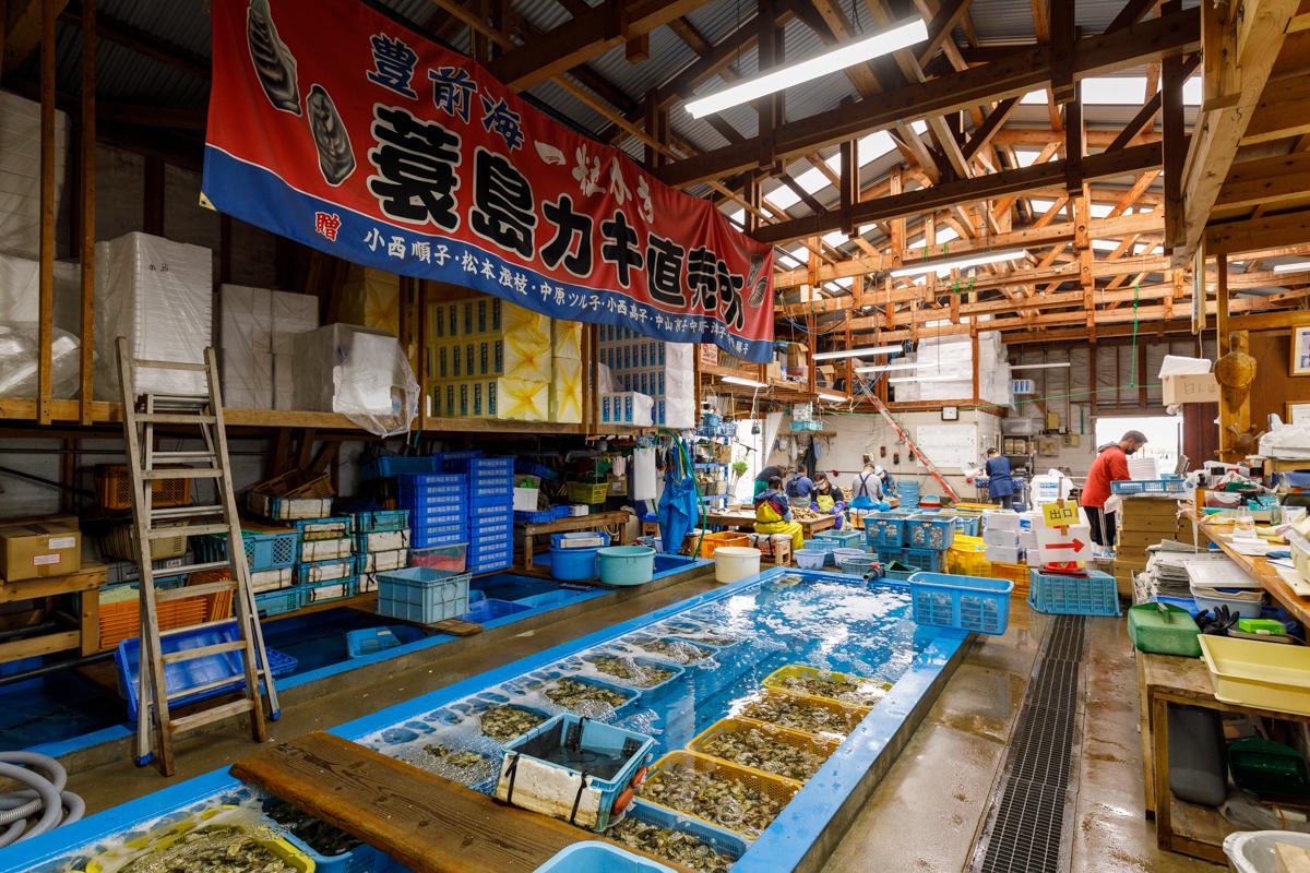 ＜行橋市での楽しみ方➀＞行橋の海沿いの四季を楽しもう-7