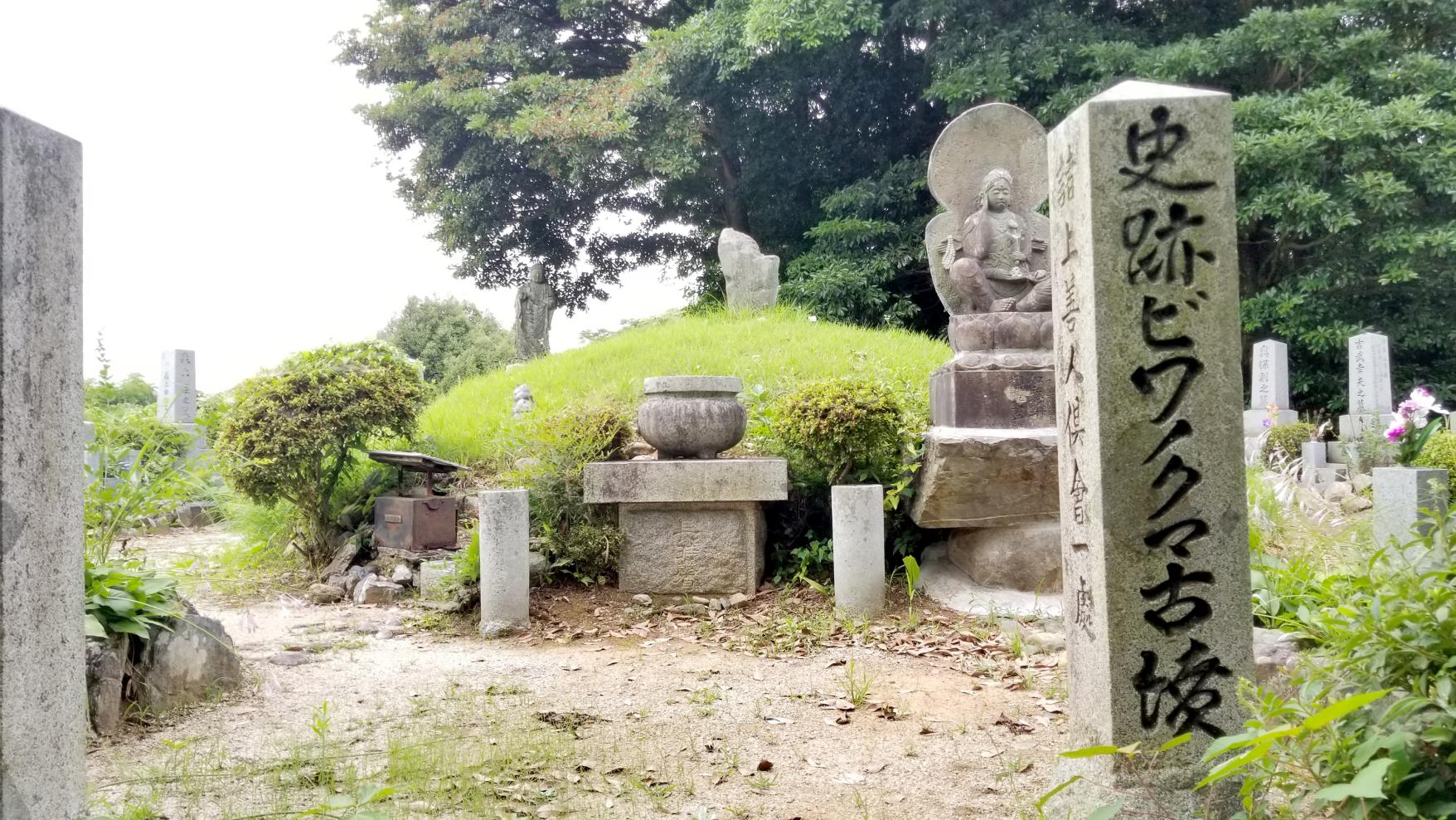 ＜行橋市での楽しみ方②＞行橋の歴史と文化を感じよう-7