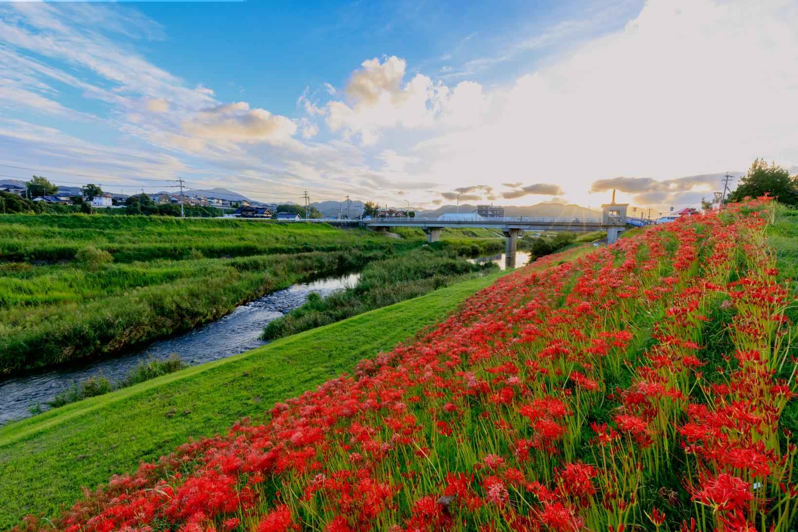 ＜宮若市での楽しみ方➀＞名湯と圧巻の景色をたっぷり体感-2